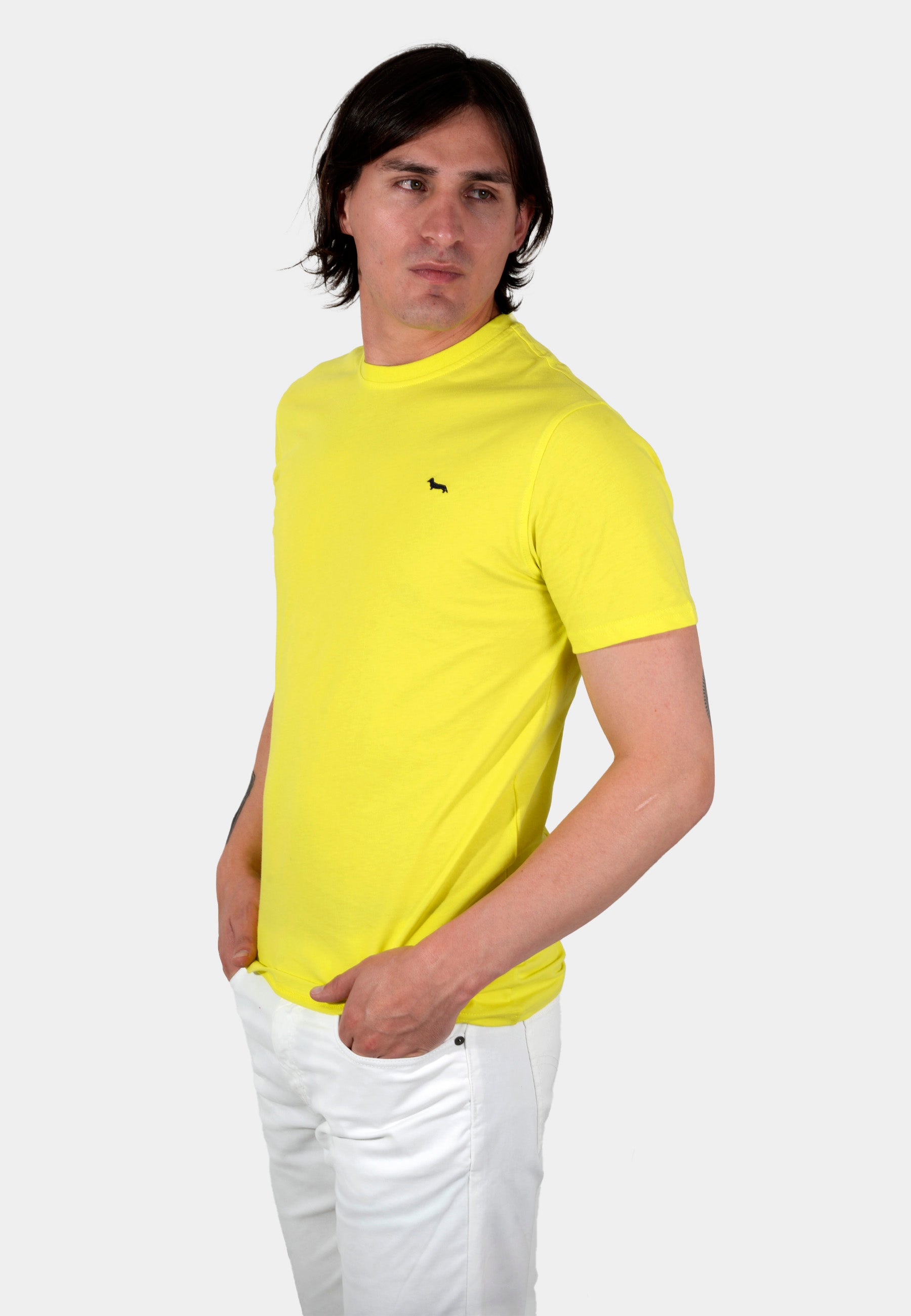 T-SHIRT HARMONT VERDE ALGOD (INK001021223-641)