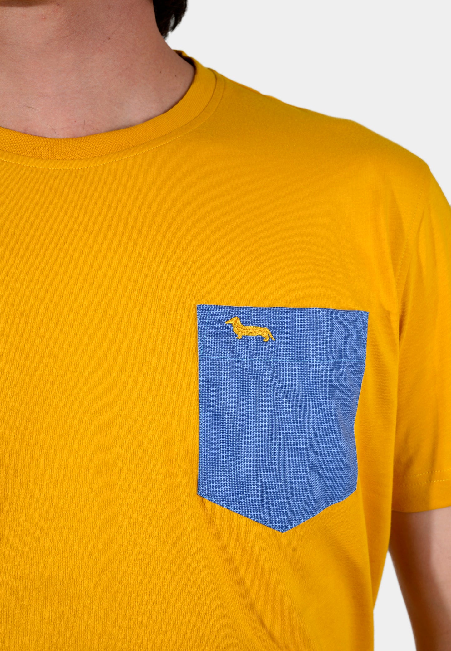 T-SHIRT HARMONT AMARILLO ALGOD (IRK118021223-317)