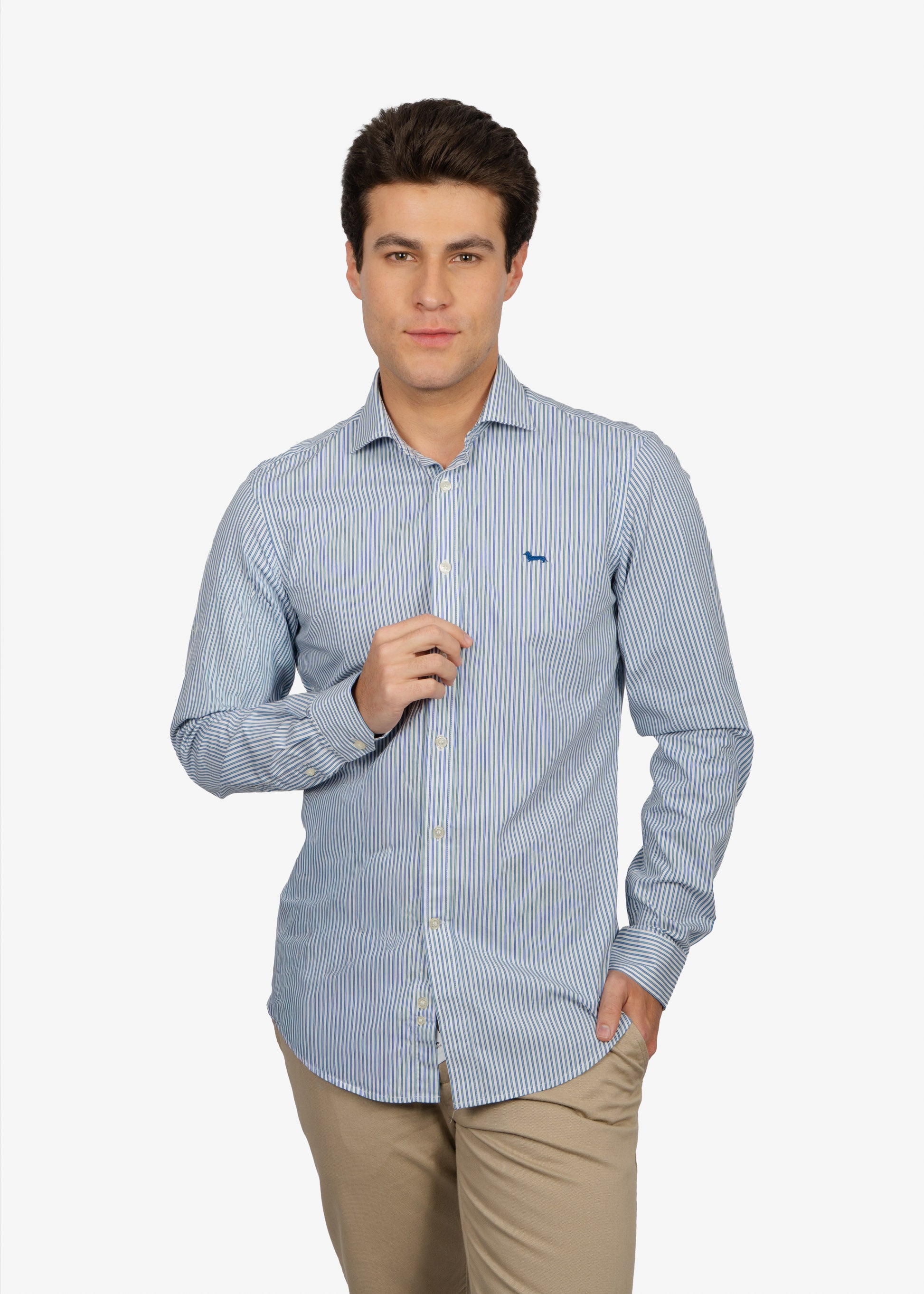 Camisa Sport con Microrayas Color Azul H&B