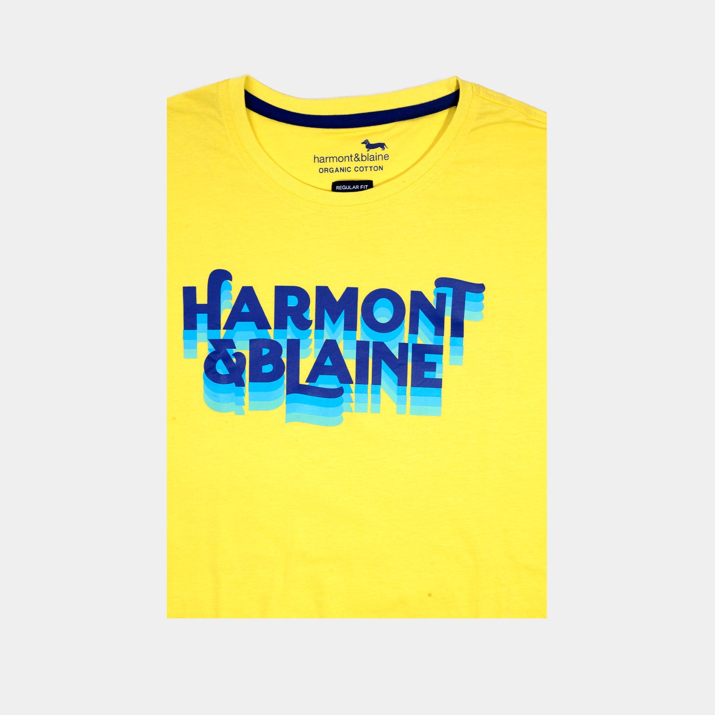 CAMISETA T-SHIRT HARMONT & BLAINE AMARILLO (INH001-021055-313)