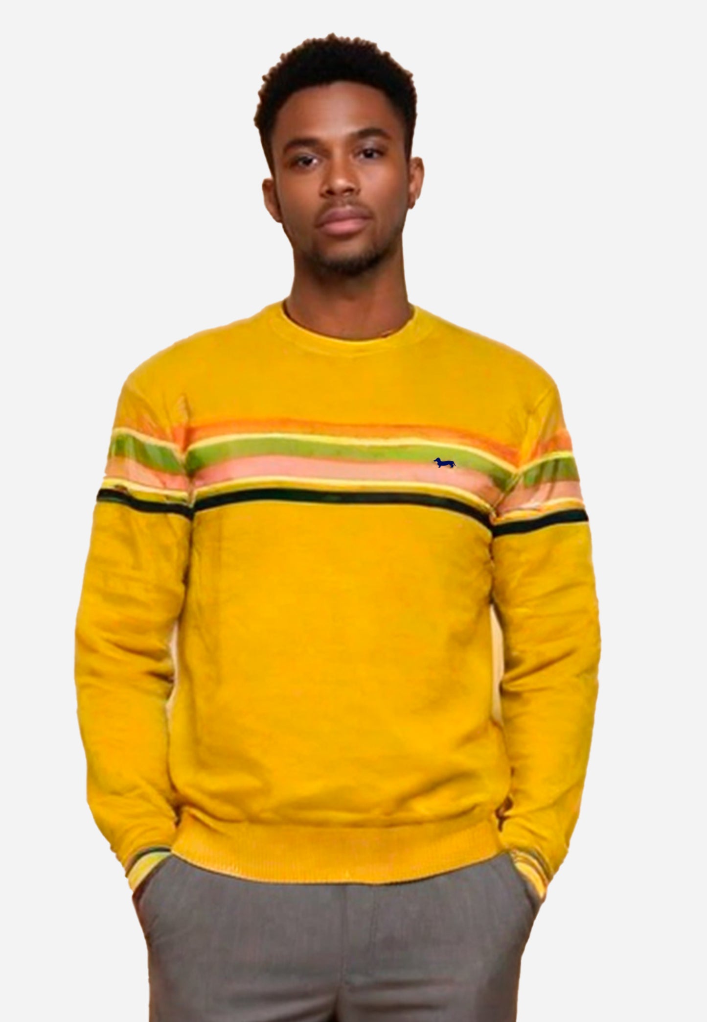 SWETER HARMONT & BLAINE AMARILLO ALG + LANA (HRM674030788-801)