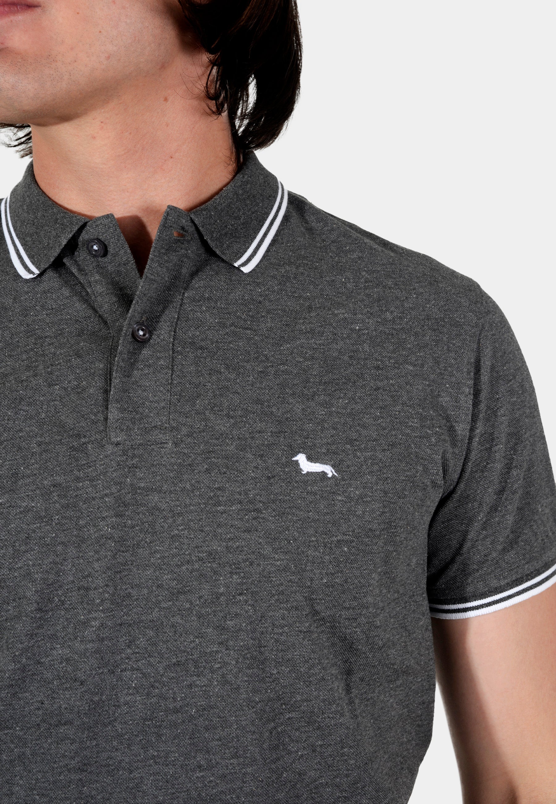 CAMISETA POLO HARMONT GRIS ALGOD (LNK010021148-903)