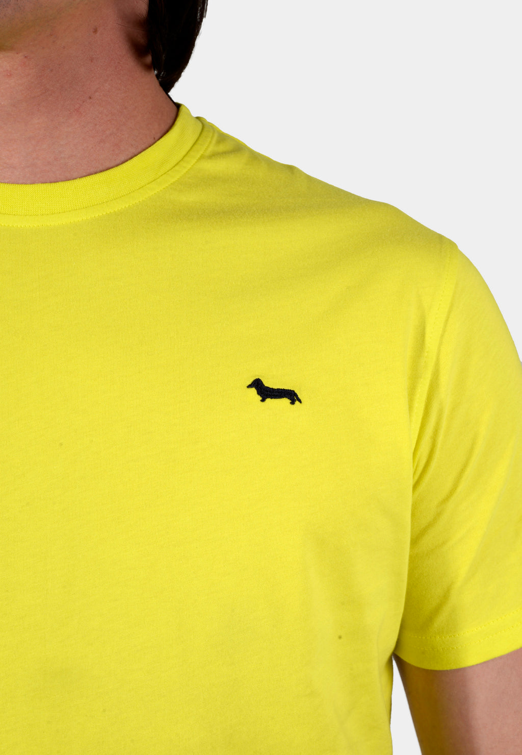 T-SHIRT HARMONT VERDE ALGOD (INK001021223-641)
