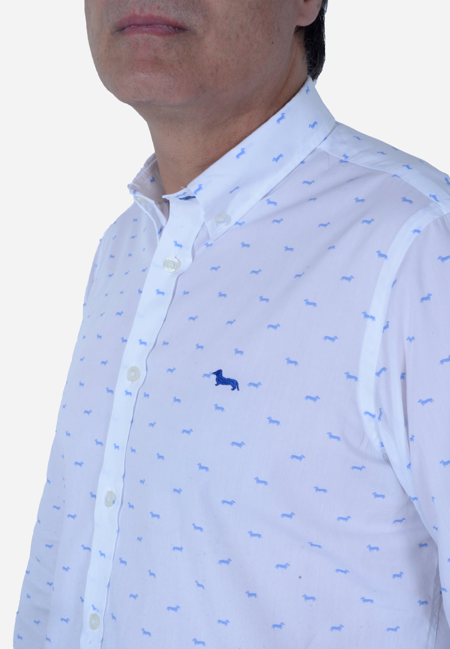 CAMISA HARMONT & BLAINE BLANCO FIG AZUL ALGODÓN (CRL001S11759M-807)