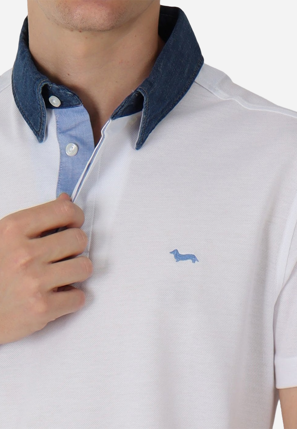 CAMISETA POLO HARMONT & BLAINE BLANCO ALGODON (LRM003020004S01-100)