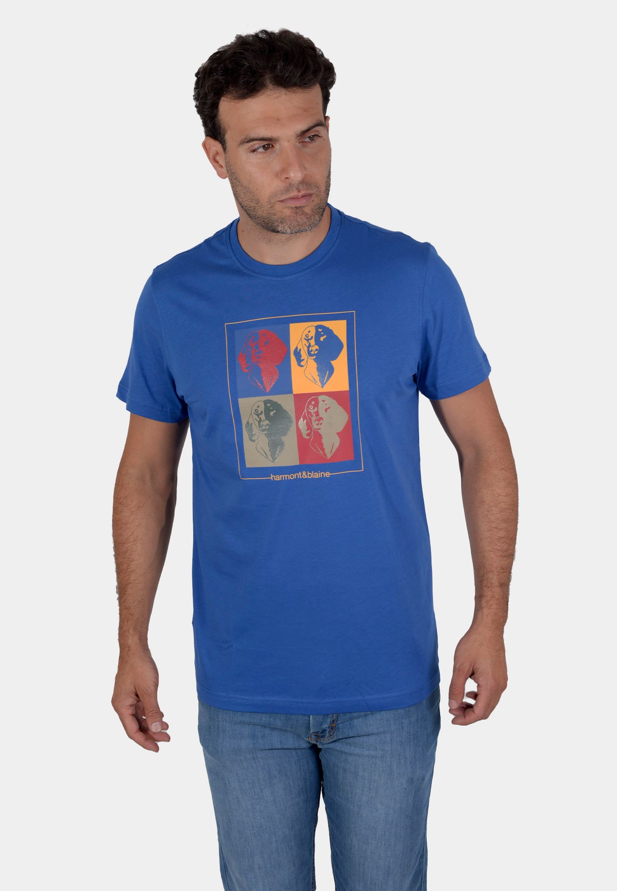 T-SHIRT HARMONT AZUL ALGOD (IRK222021223-805)