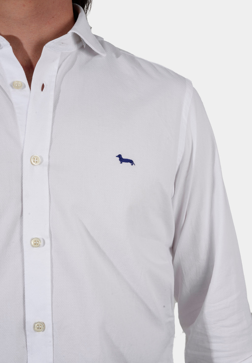 CAMISA HARMONT BLANCO ALGOD (CNK001012546I-100)