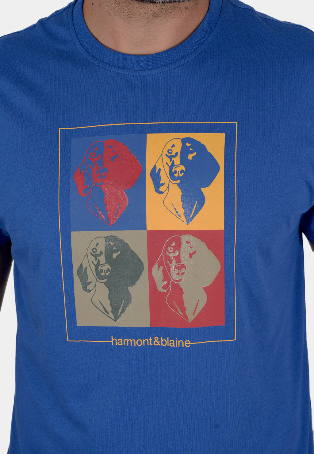 T-SHIRT HARMONT AZUL ALGOD (IRK222021223-805)