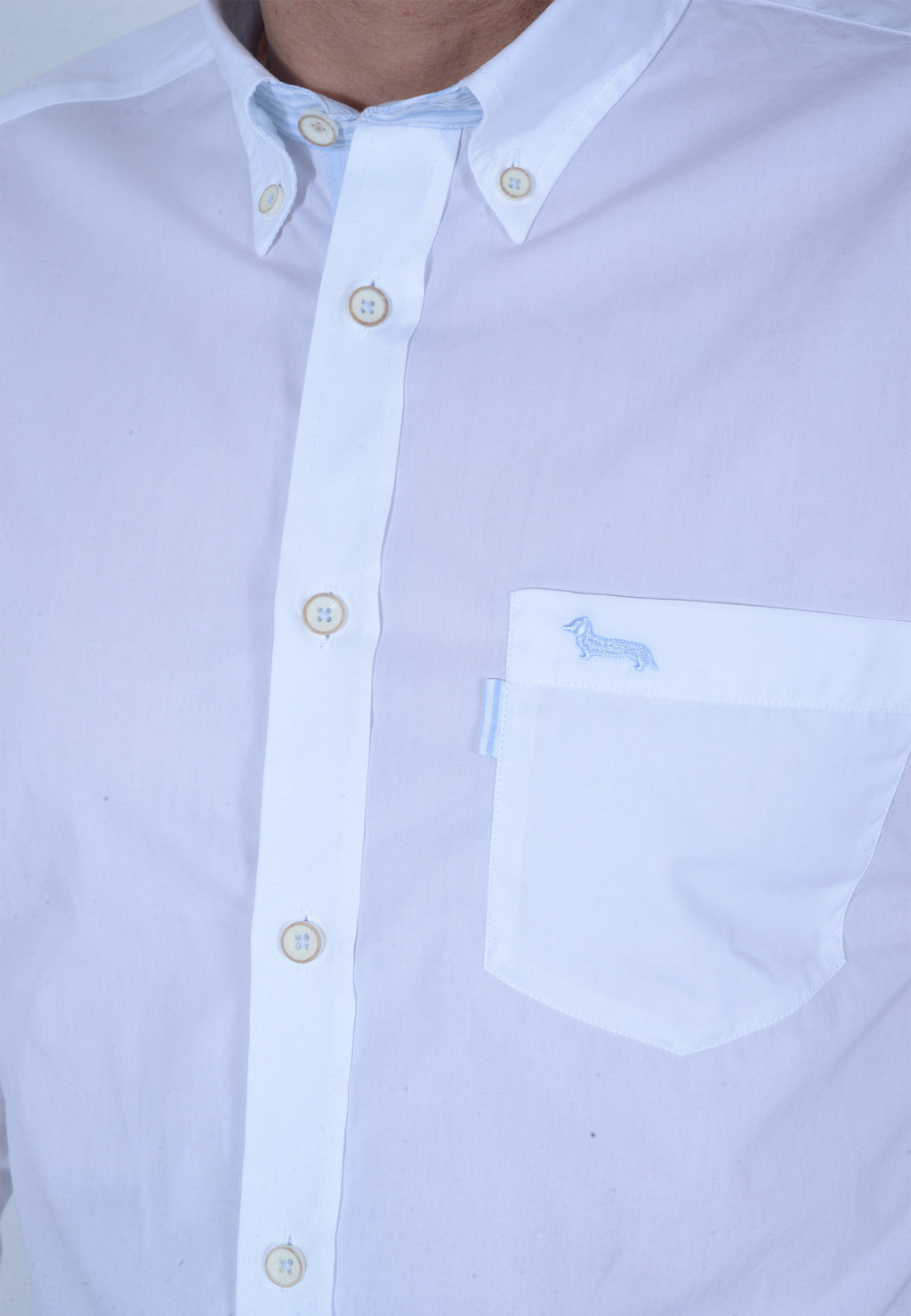 CAMISA HARMONT & BLAINE BLANCO ALGODÓN (CNL997011759M-100)