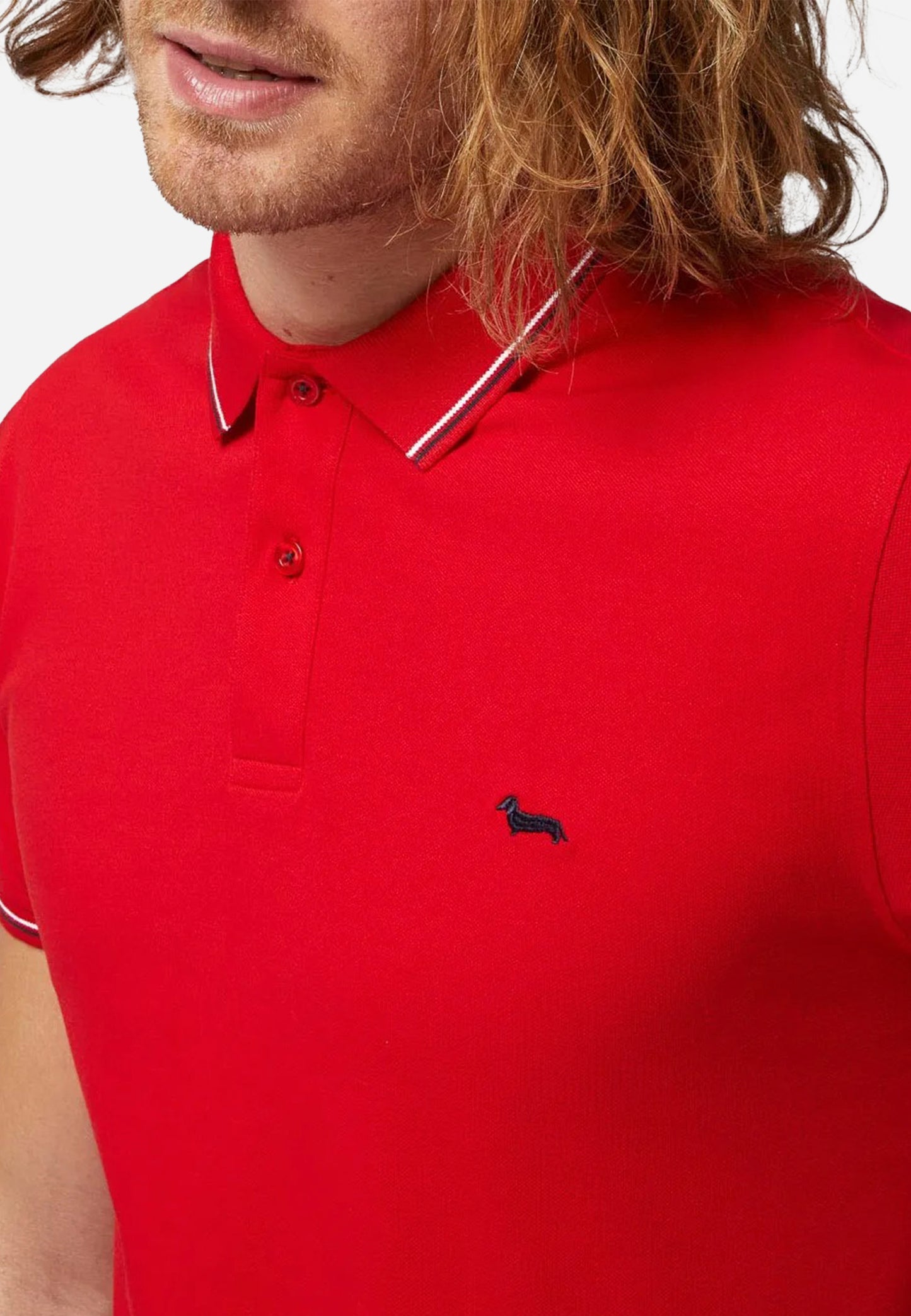 CAMISETA POLO HARMOT&BLAINE ROJO ALGOD (LNL032020862-501)