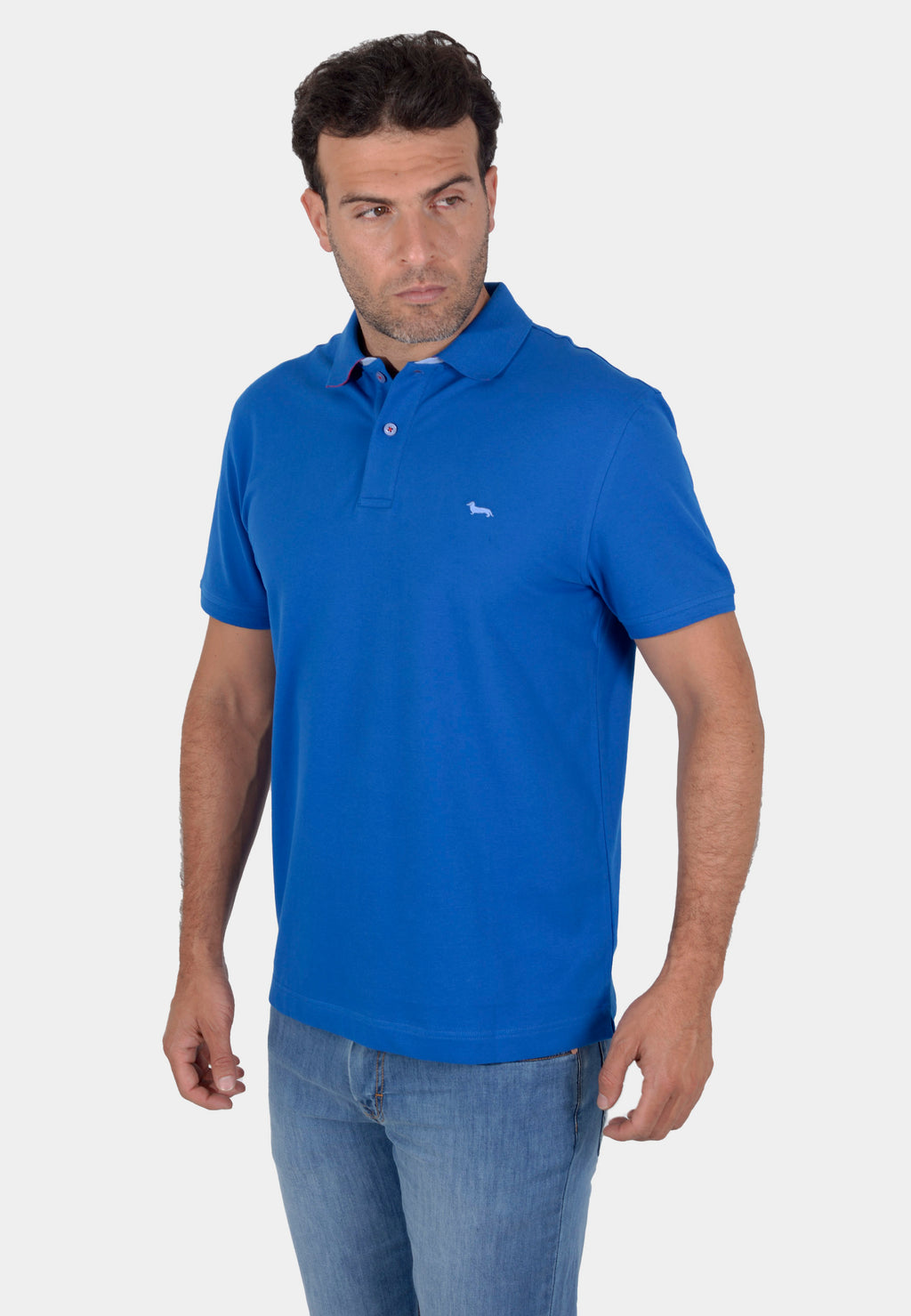 CAMISETA POLO HARMONT AZUL ALGOD (LRJ3490208620-816)