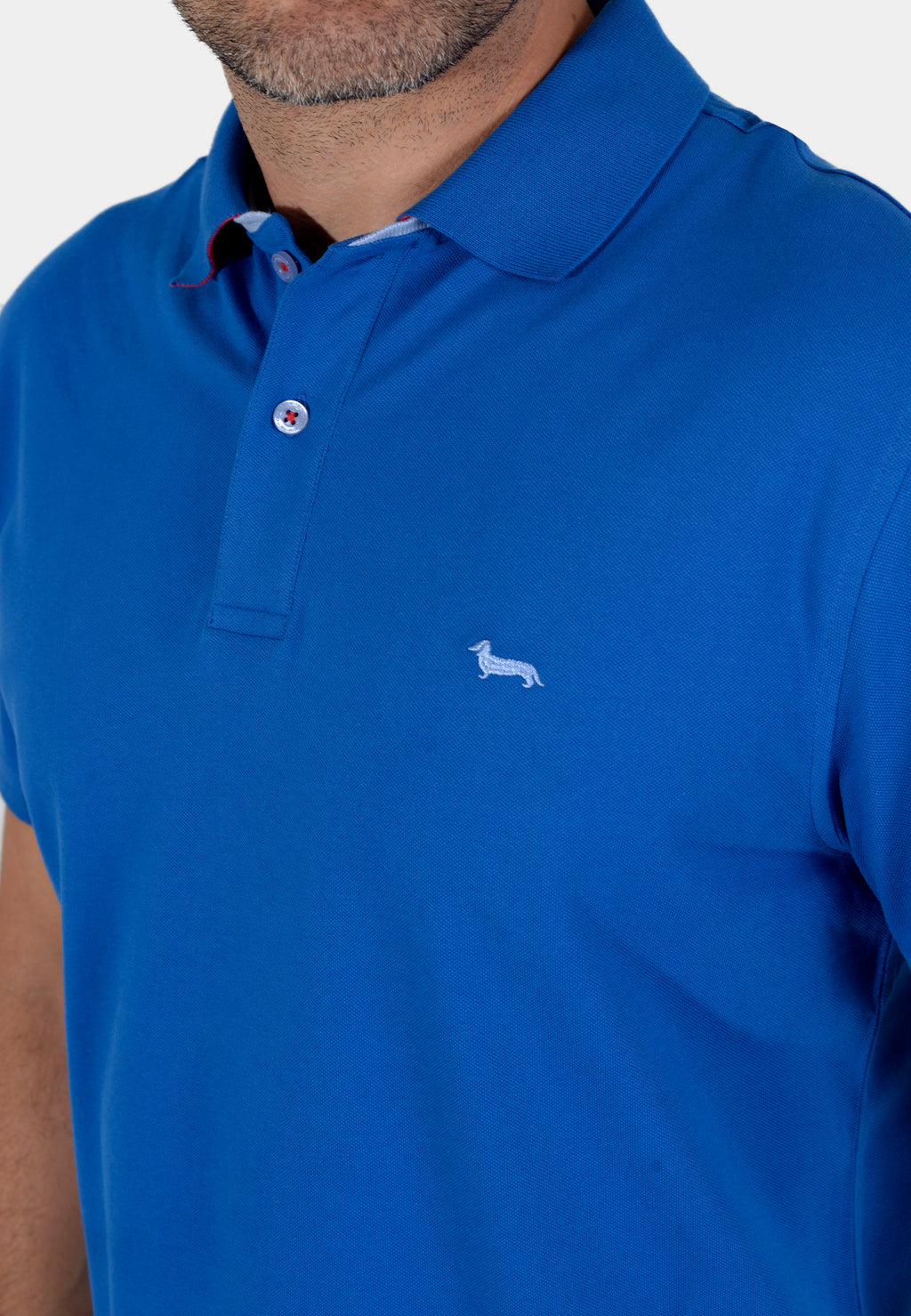 CAMISETA POLO HARMONT AZUL ALGOD (LRJ3490208620-816)