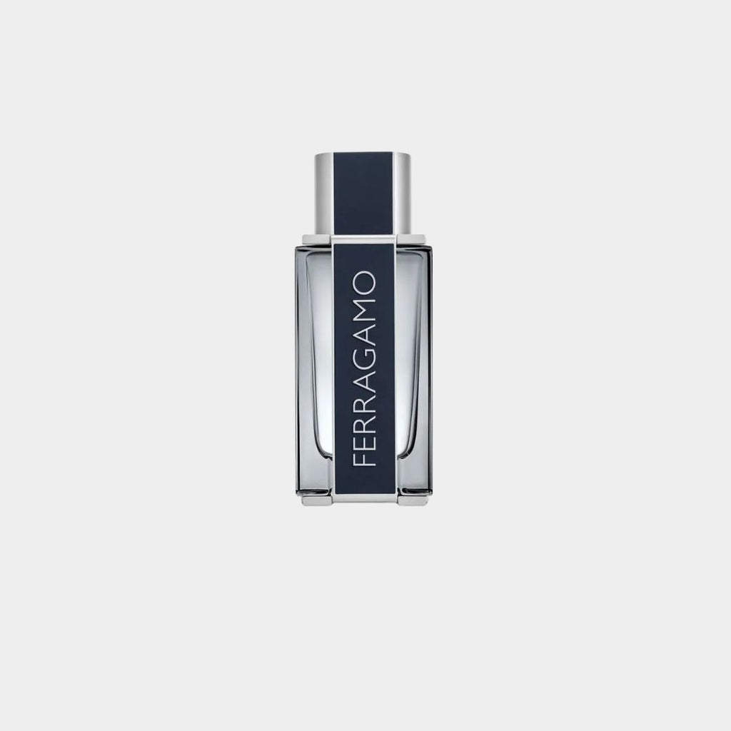 Perfume Eau de Toilette Hombre 100ML S.F.