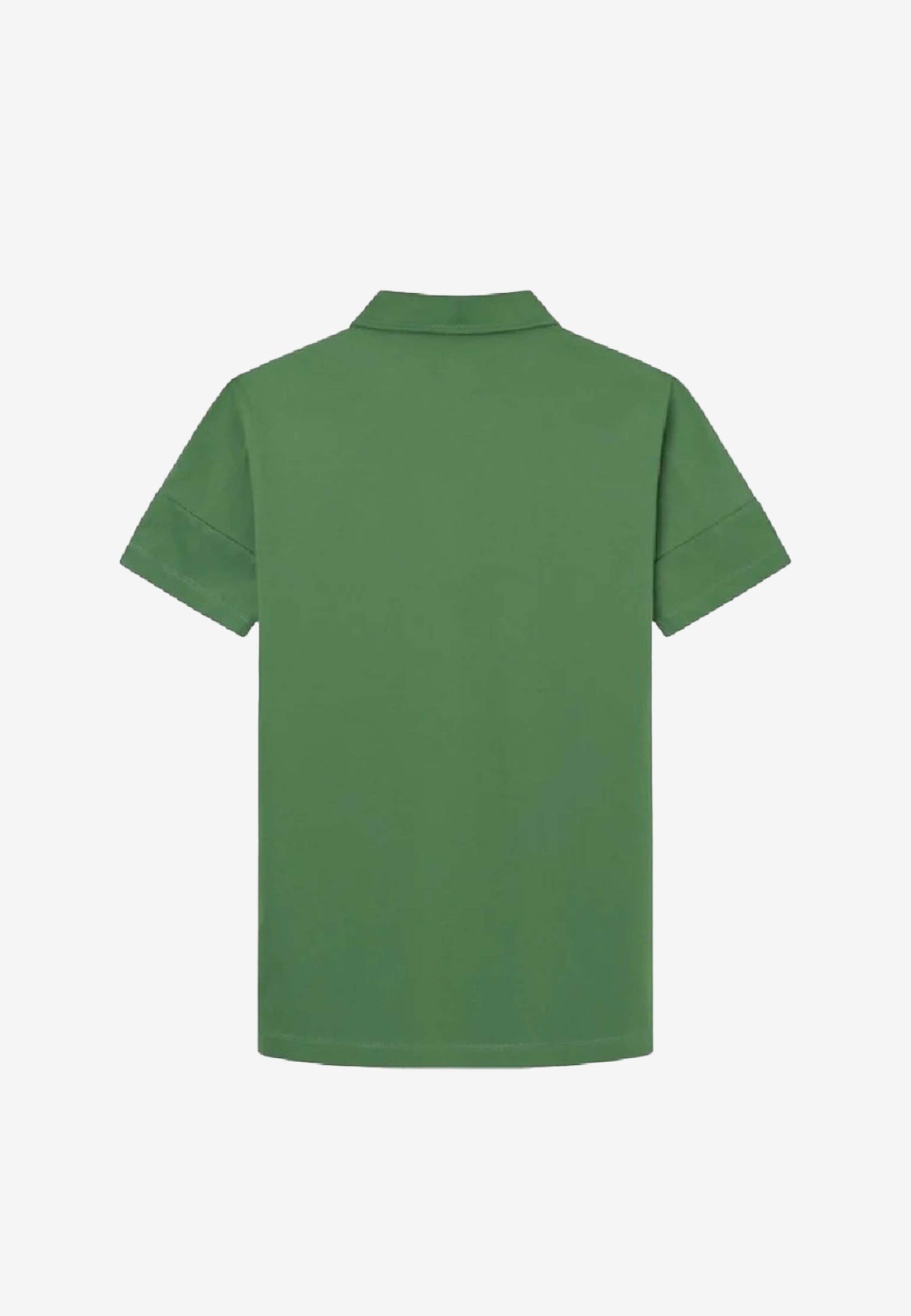 CAMISETA POLO HACKETT VERDE 54% COTTON, 41% POLY,  5%  (HM563204-665)