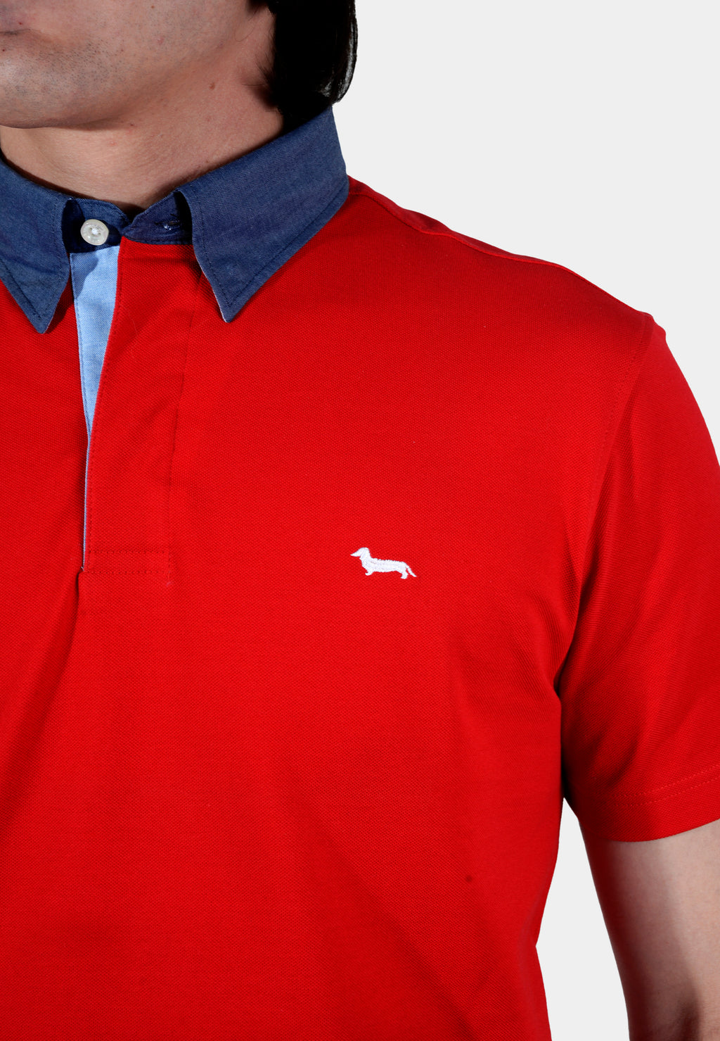 CAMISETA POLO HARMONT ROJO ALGOD (LRK003020746S18-518)