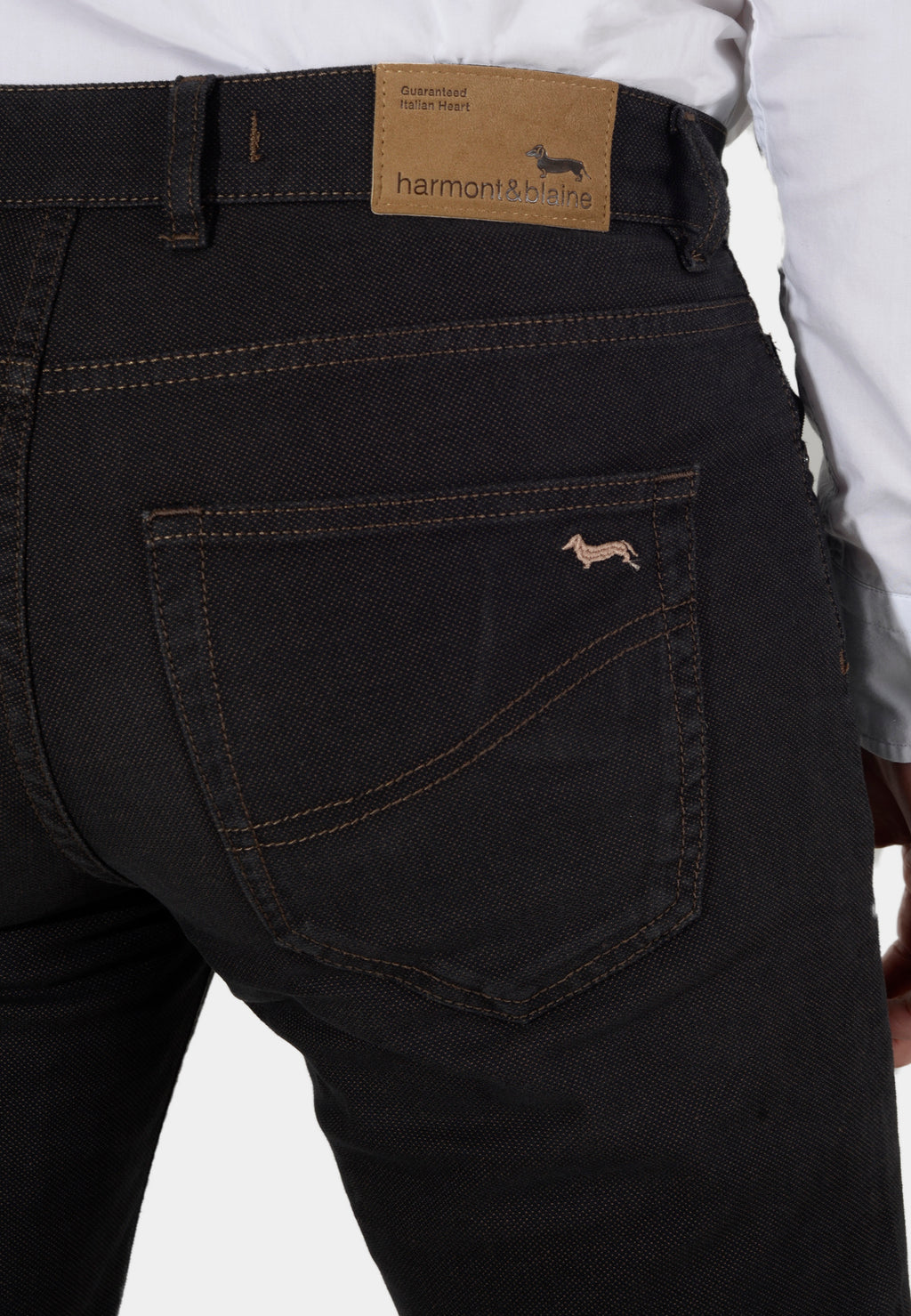 PANTALON HARMONT CAFE ALGOD (WNK001053319-725)