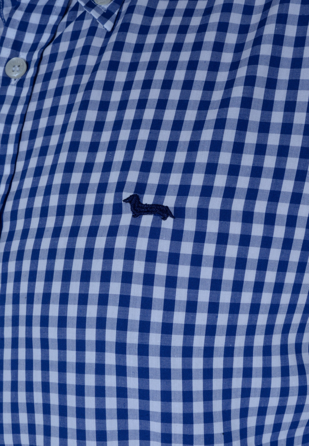 CAMISA HARMONT & BLAINE AZUL CUADROS ALGODÓN (CRL069012739M-801)