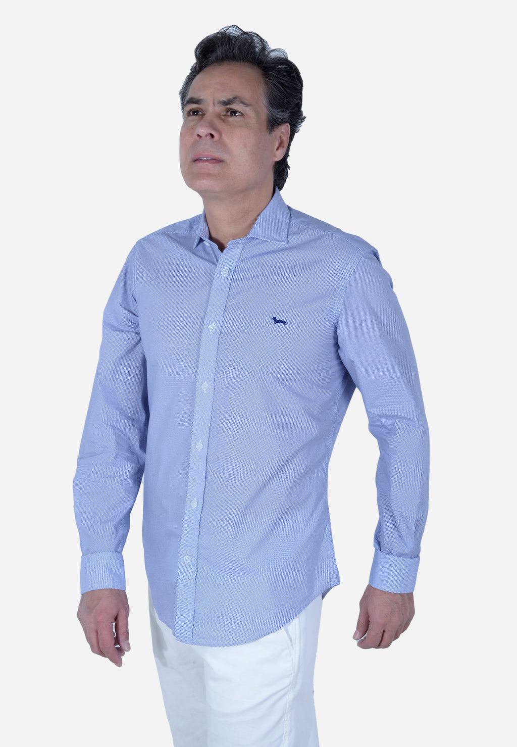 CAMISA HARMONT & BLAINE AZUL PUNTOS ALGODÓN (CNL026012820I-854)