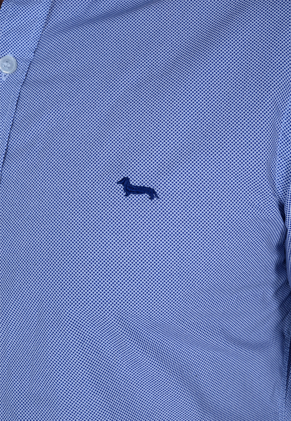 CAMISA HARMONT & BLAINE AZUL PUNTOS ALGODÓN (CNL026012820I-854)