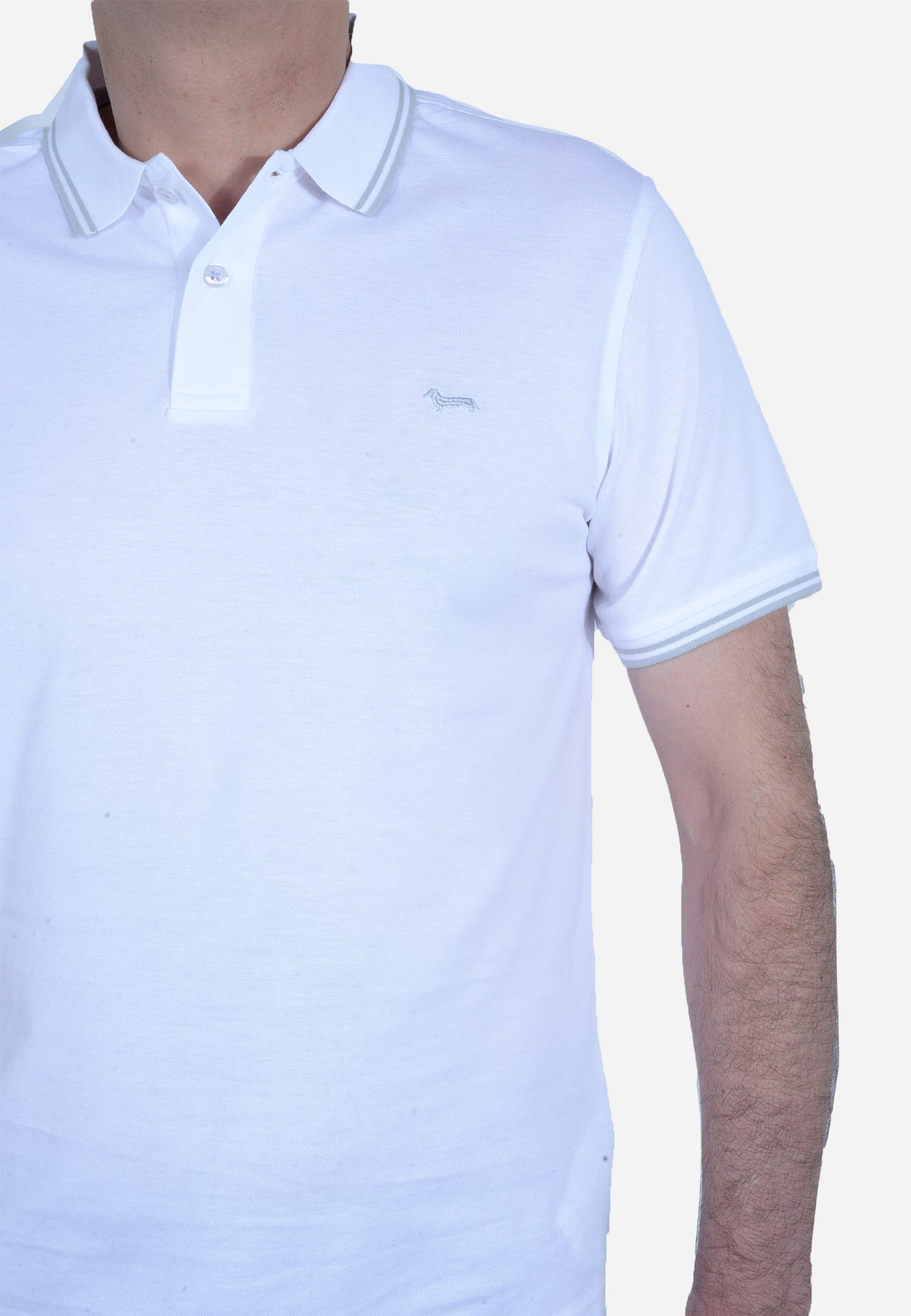 CAMISETA POLO HARMONT & BLAINE BLANCO ALGODÓN (LN1010N21054-100)