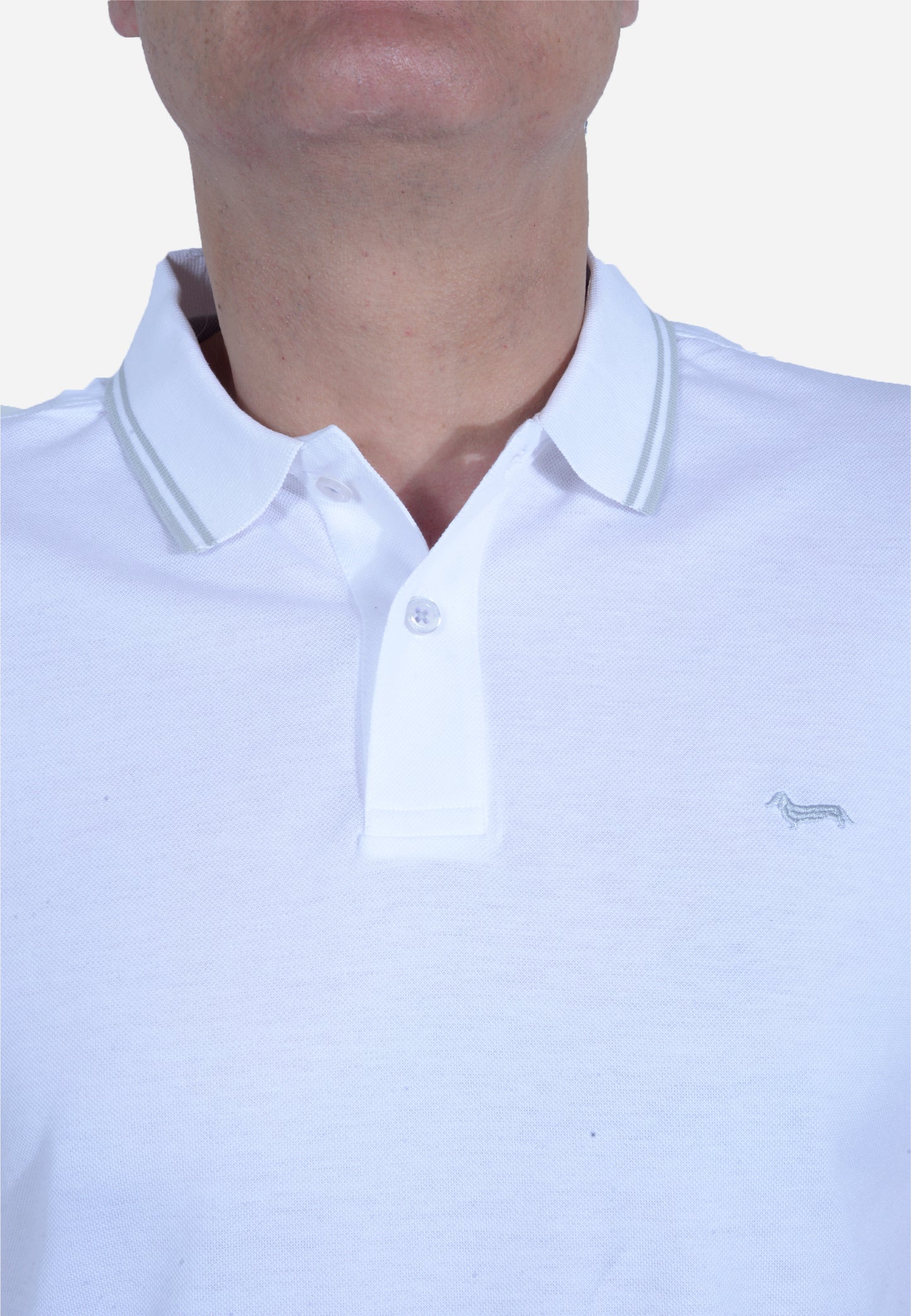 CAMISETA POLO HARMONT & BLAINE BLANCO ALGODÓN (LN1010N21054-100)