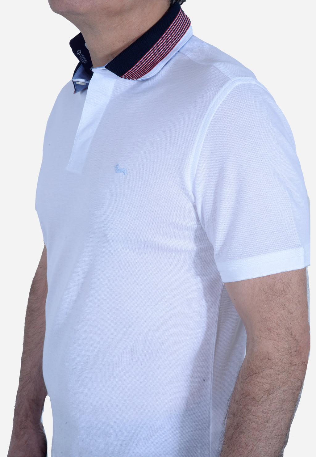 CAMISETA POLO HARMONT & BLAINE BLANCO ALGODÓN (LNL330020004-100)