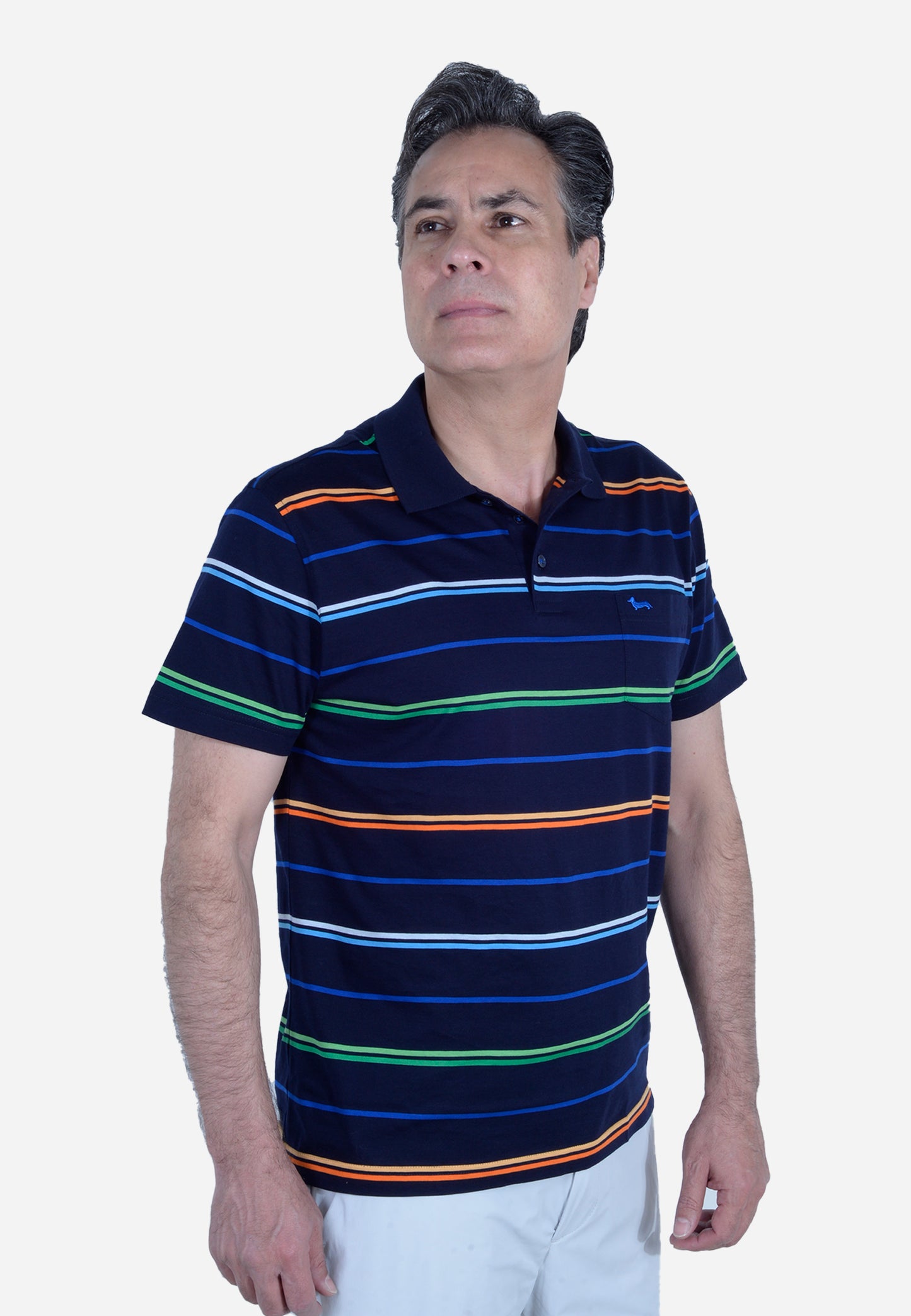 CAMISETA POLO HARMONT & BLAINE AZUL RAYAS ALGODÓN (LRL376021746-801)