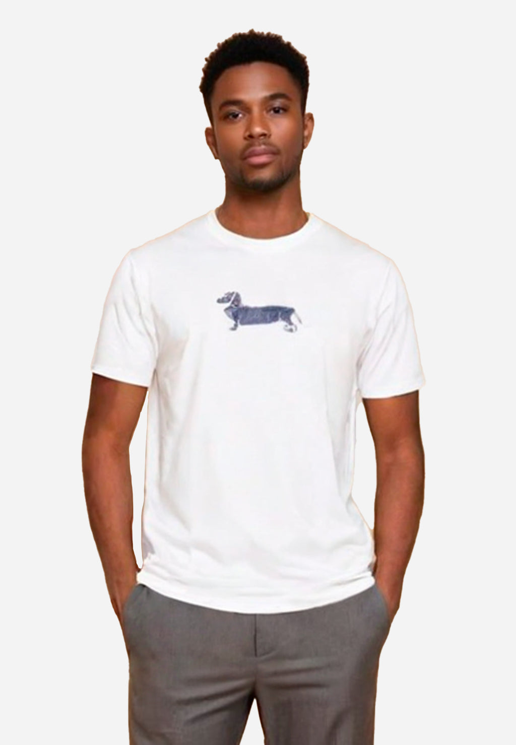CAMISETA-TSHIRT HARMONT & BLAINE BLANCO ALGODON (IRM003021055R)