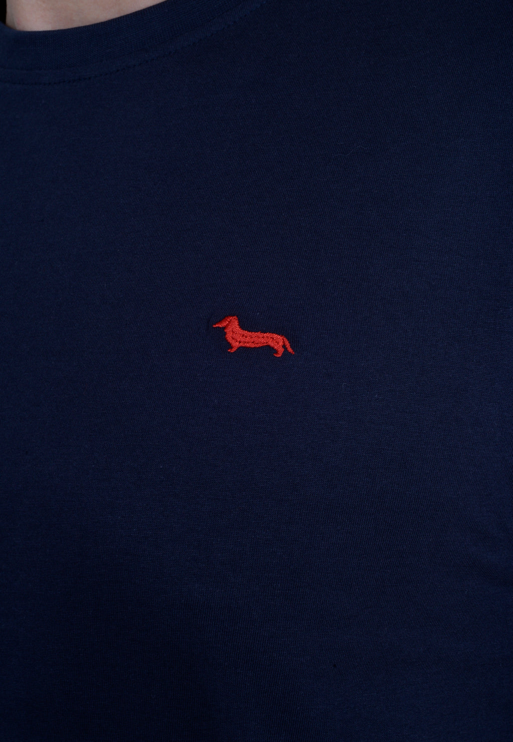 CAMISETA T-SHIRT HARMONT & BLAINE AZUL ALGODÓN (IRL210021223-801)