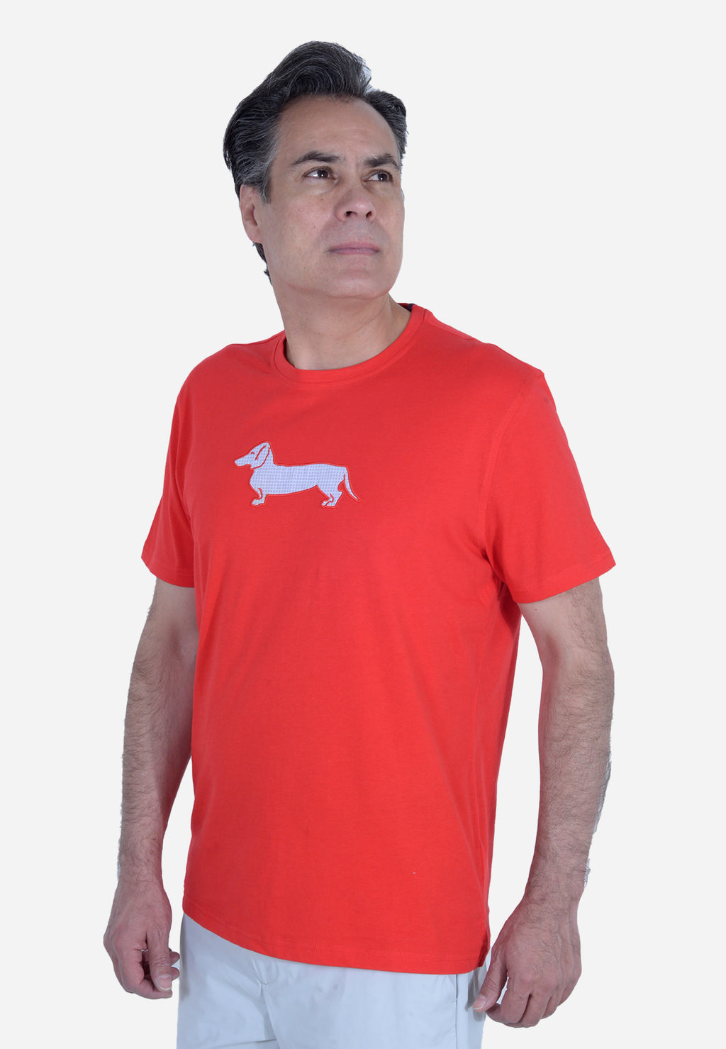 CAMISETA T-SHIRT HARMONT & BLAINE ROJO ALGODÓN (IRL003021055R-510)