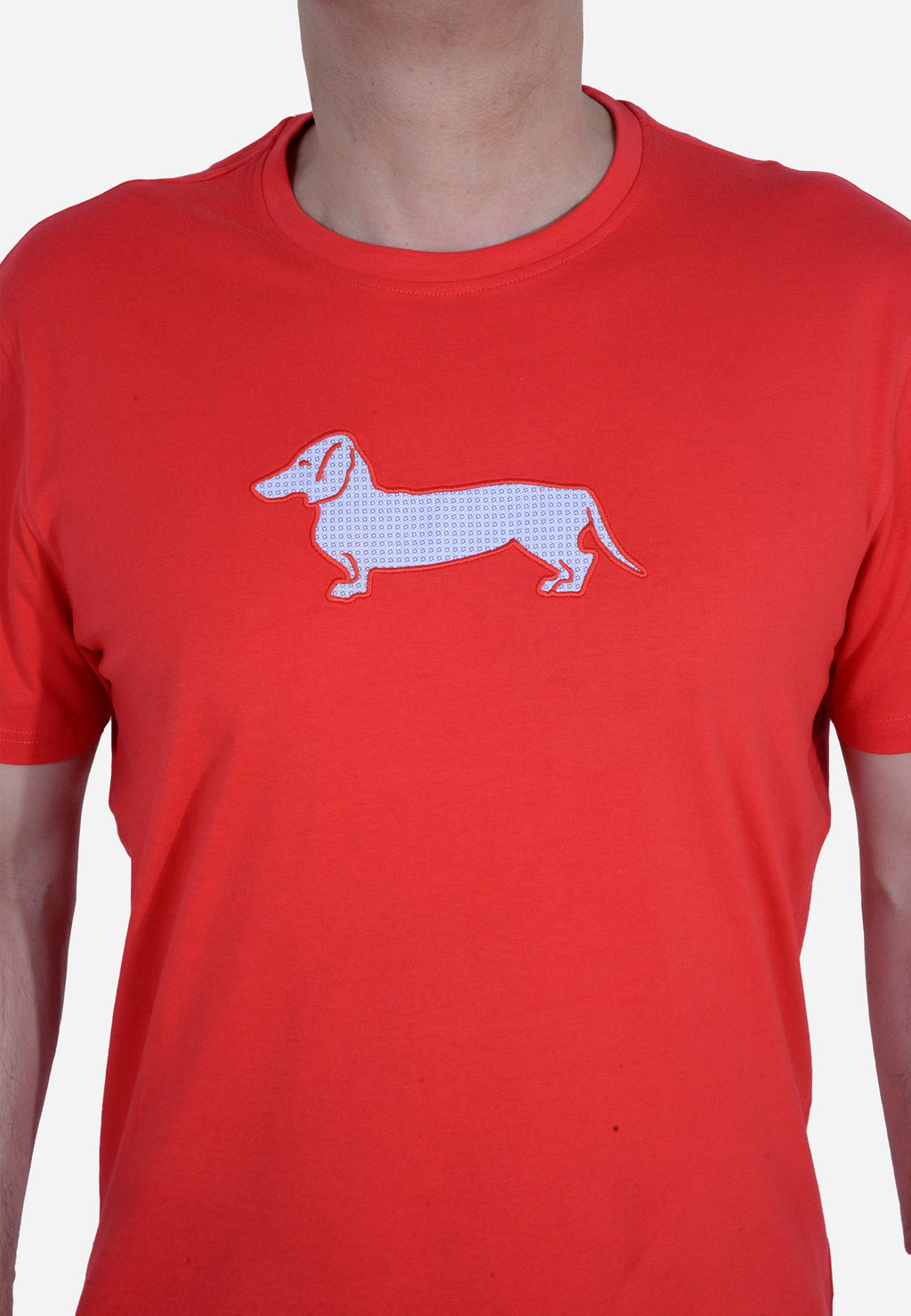 CAMISETA T-SHIRT HARMONT & BLAINE ROJO ALGODÓN (IRL003021055R-510)