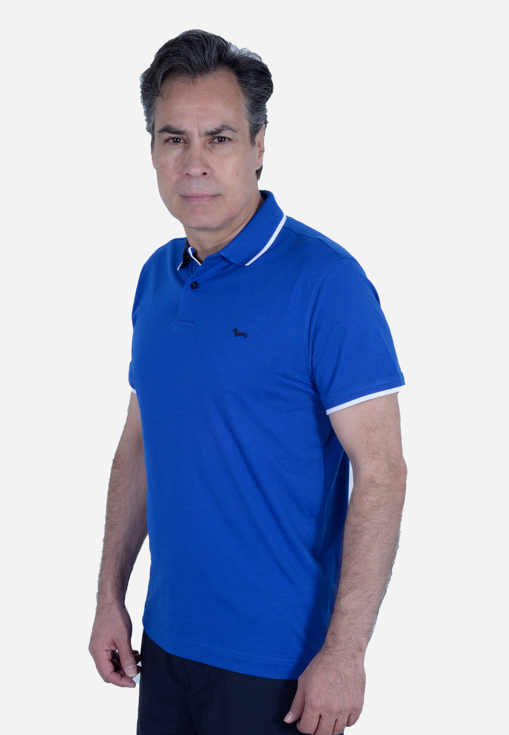 CAMISETA POLO HARMONT & BLAINE AZUL ALGODÓN (LRL379021055-854)