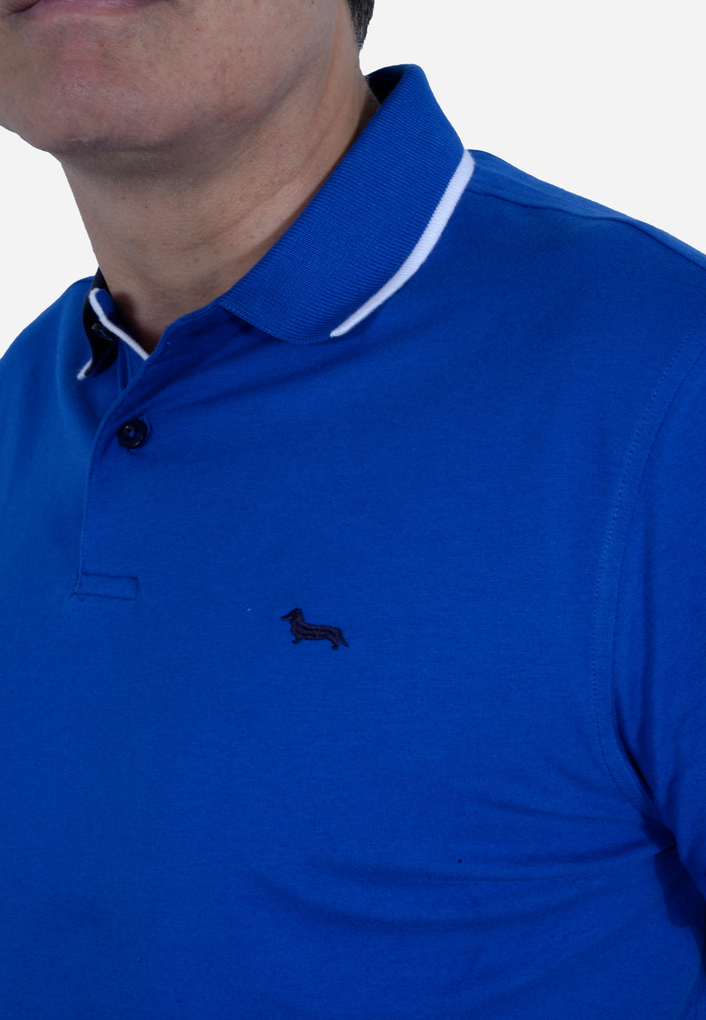 CAMISETA POLO HARMONT & BLAINE AZUL ALGODÓN (LRL379021055-854)