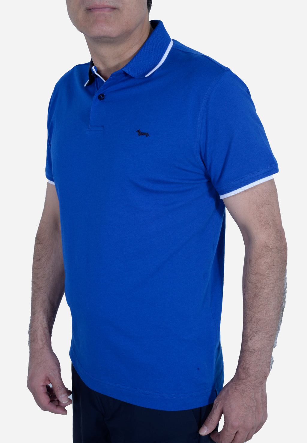 CAMISETA POLO HARMONT & BLAINE AZUL ALGODÓN (LRL379021055-854)