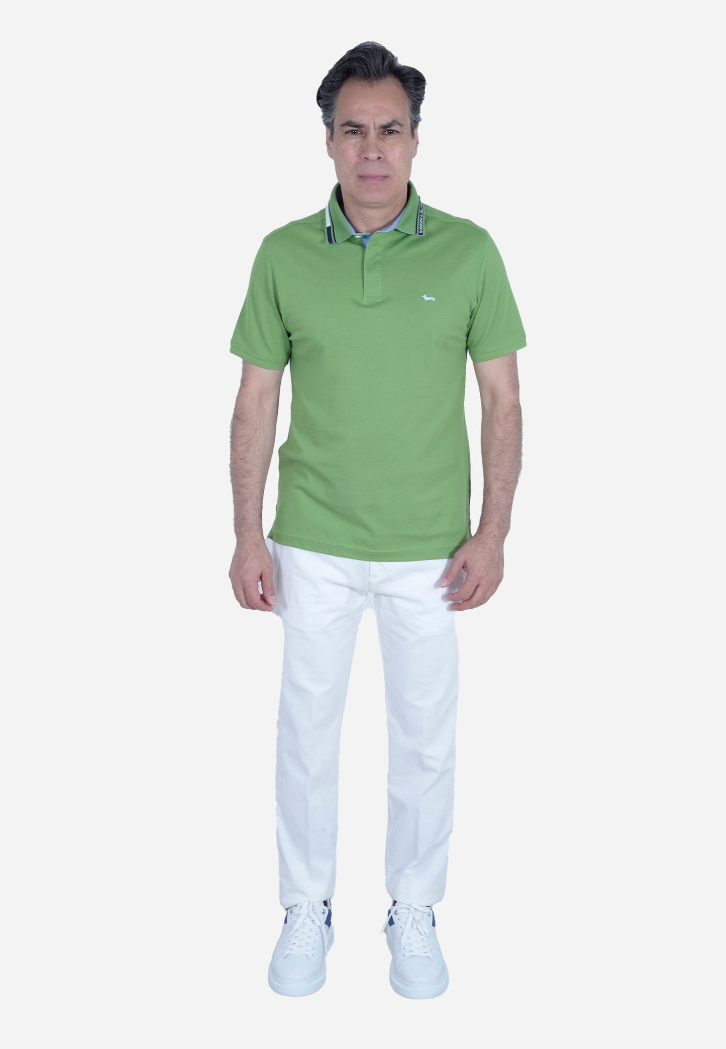 CAMISETA POLO HARMONT & BLAINE VERDE ALGODÓN (LNL330020004-600)