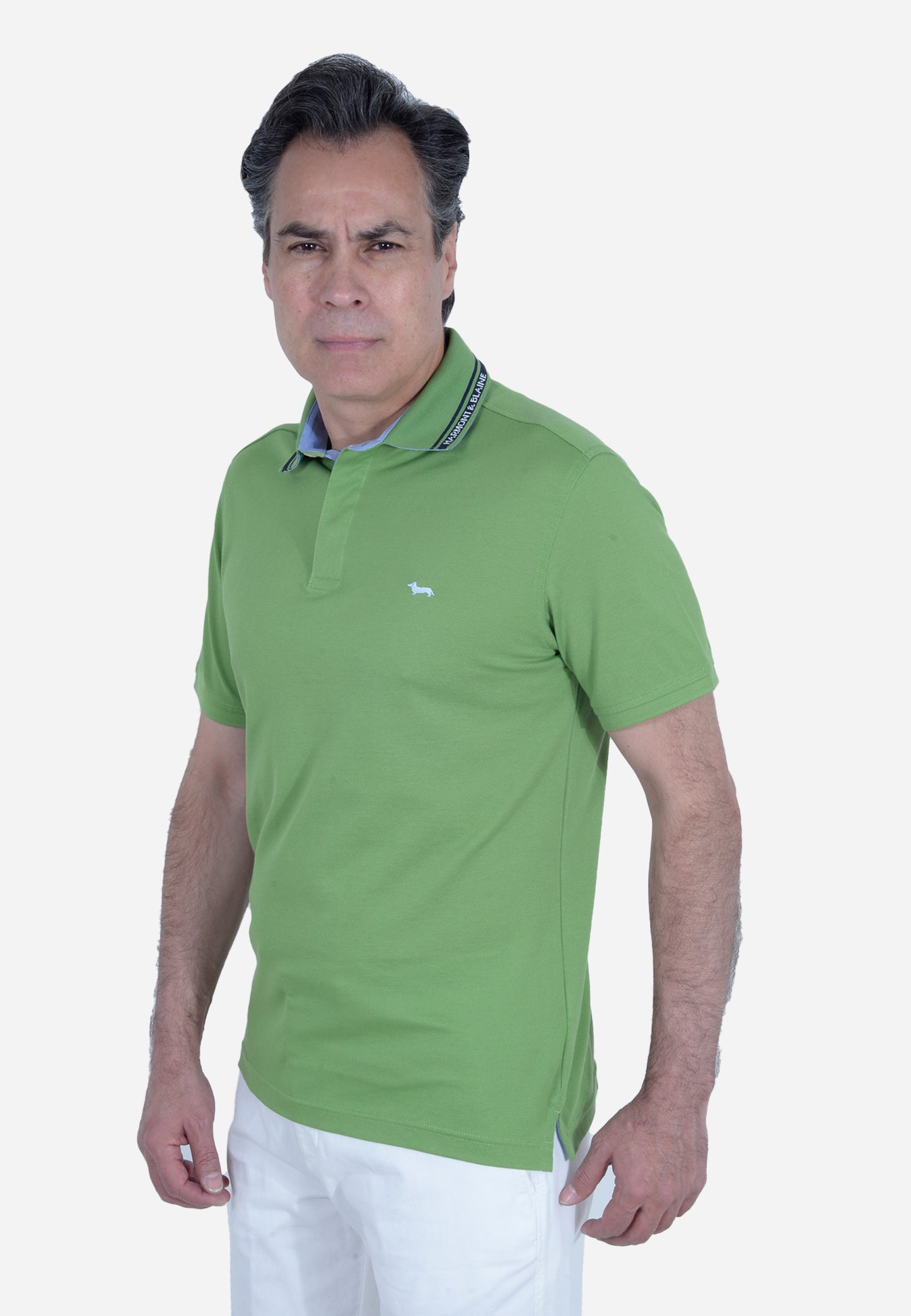 CAMISETA POLO HARMONT & BLAINE VERDE ALGODÓN (LNL330020004-600)