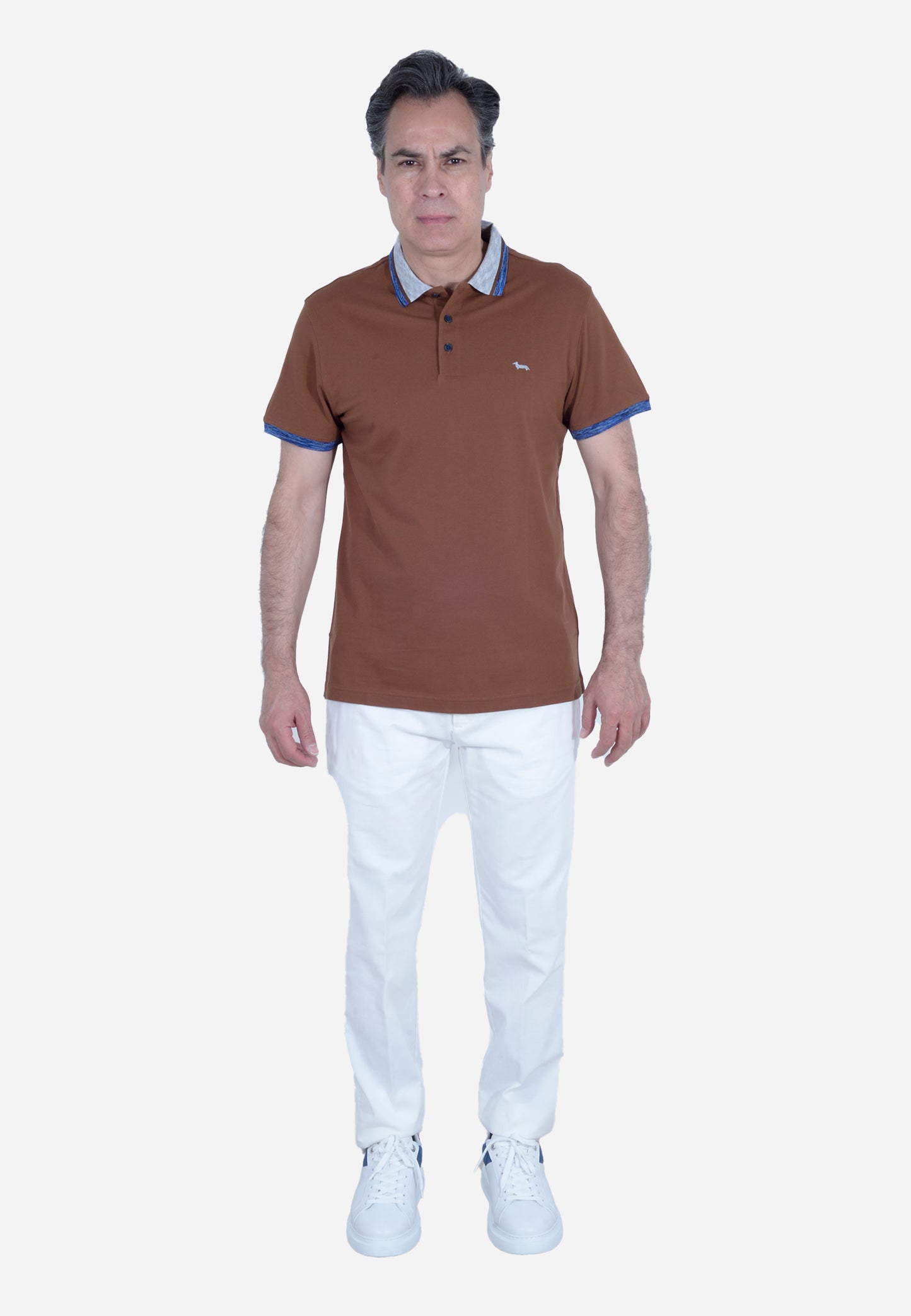 CAMISETA POLO HARMONT & BLAINE CAFE ALGODÓN (LRL370021745-700)