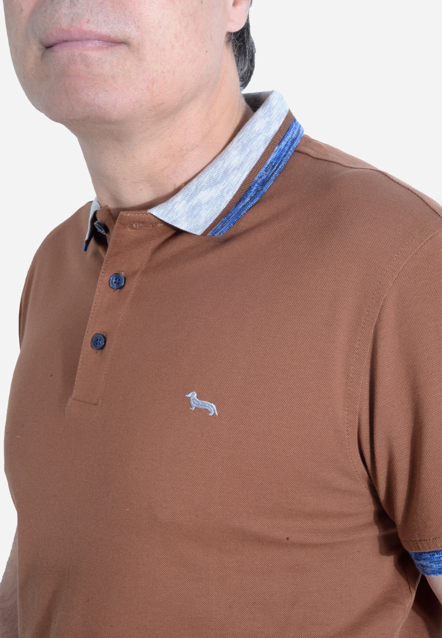 CAMISETA POLO HARMONT & BLAINE CAFE ALGODÓN (LRL370021745-700)