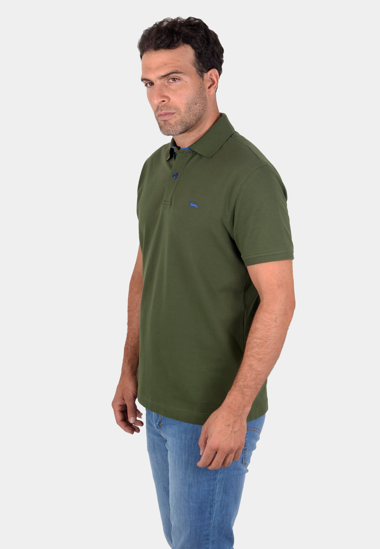 POLO DOPPIO COLLO, 629 VERDE SPINACI (LRJ349020862-629)