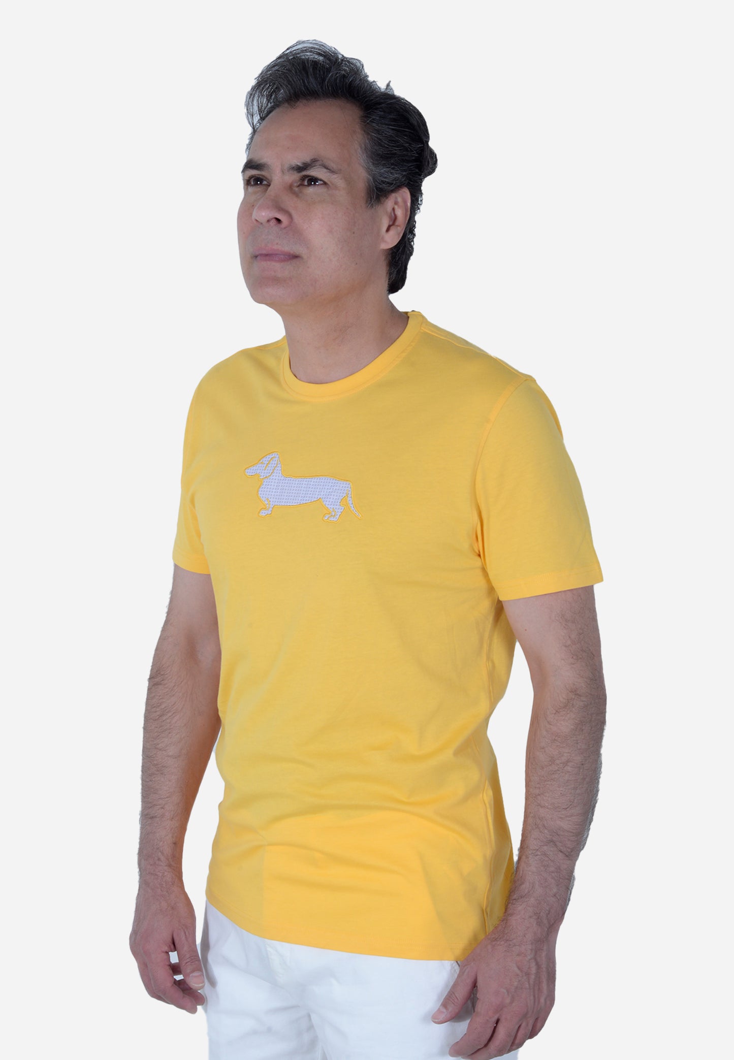 CAMISETA T-SHIRT HARMONT & BLAINE AMARILLO ALGODÓN (IRL003021055R-302)