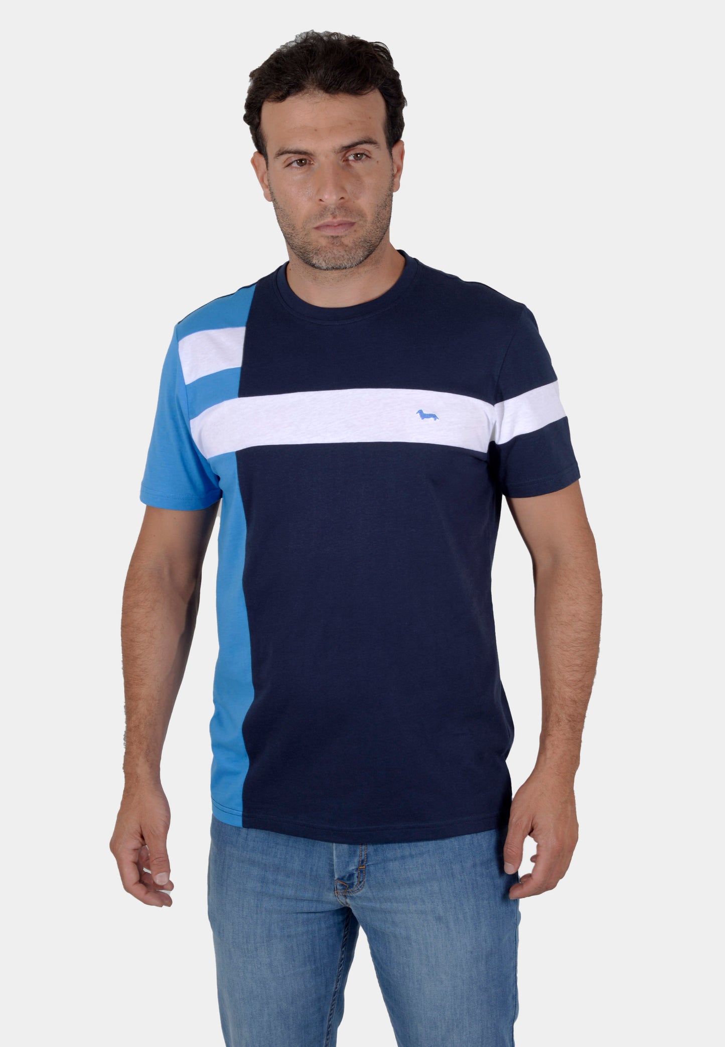 CAMISETA TSHIRT HARMONT AZUL ALGOD (IRJ2090210550-801)