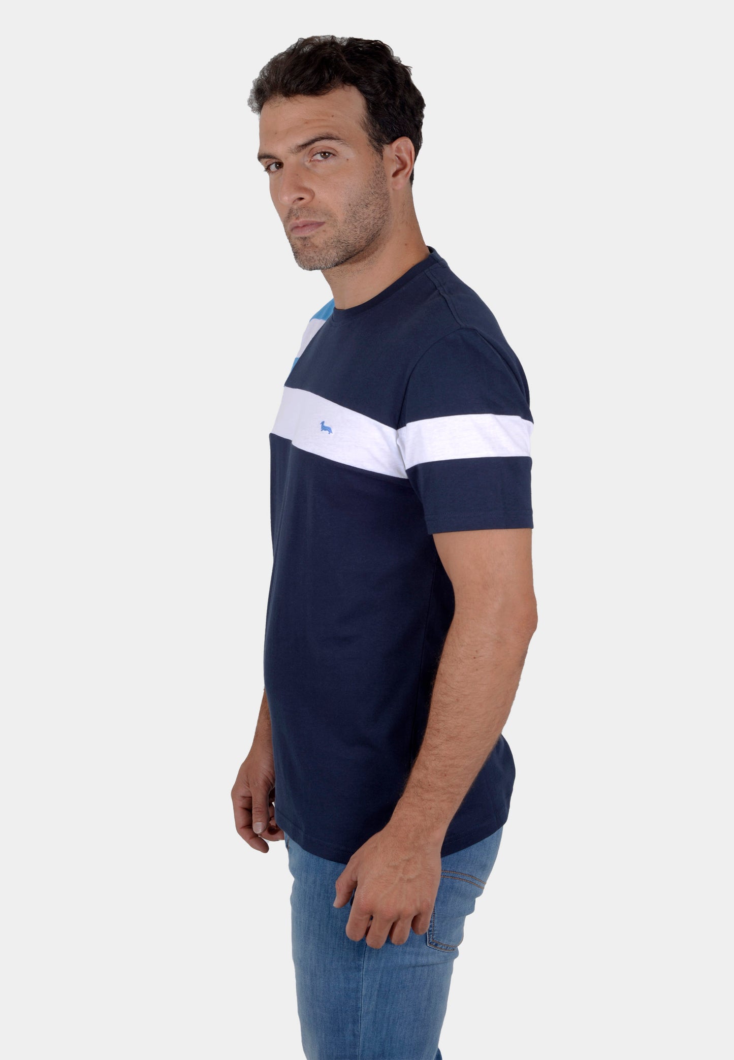 CAMISETA TSHIRT HARMONT AZUL ALGOD (IRJ2090210550-801)