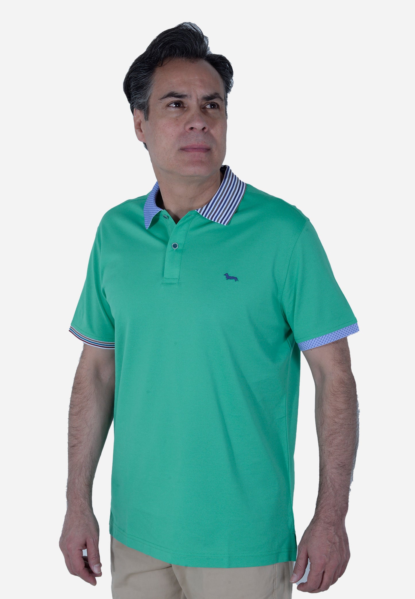 CAMISETA POLO HARMONT & BLAINE VERDE ALGODÓN (LRL375021215-646)