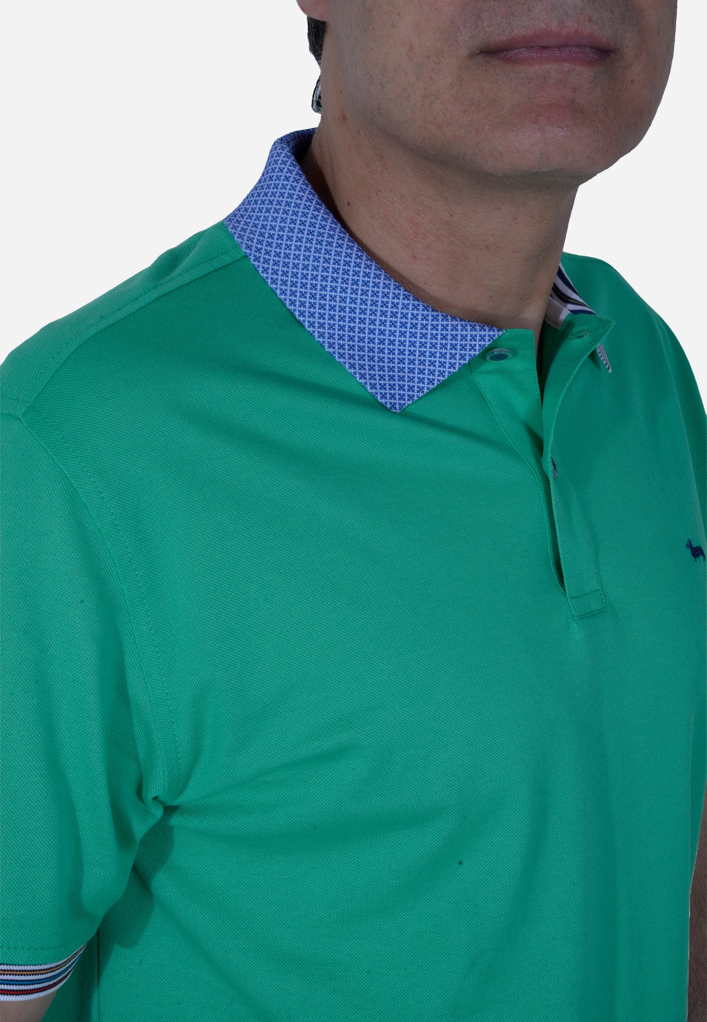 CAMISETA POLO HARMONT & BLAINE VERDE ALGODÓN (LRL375021215-646)