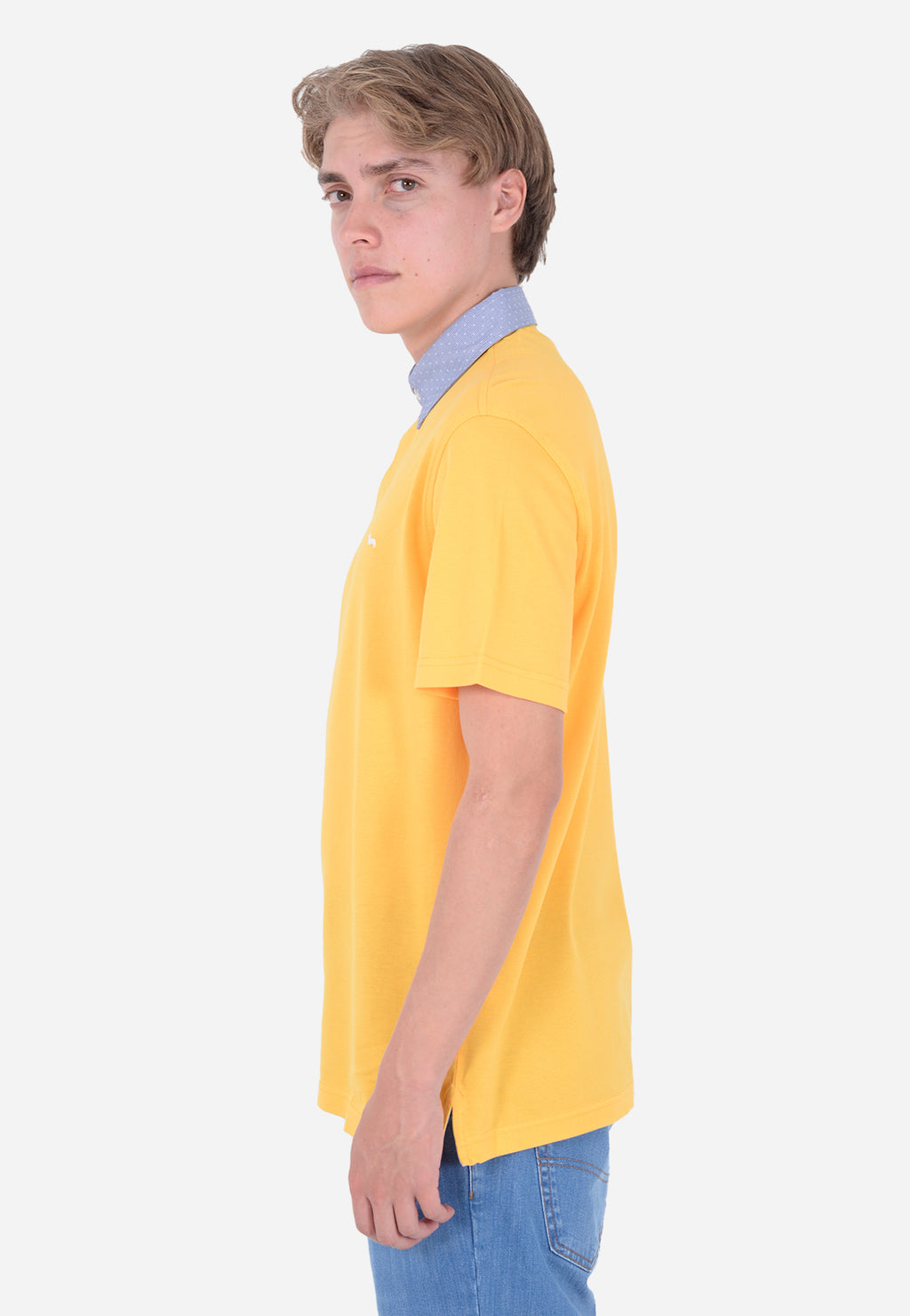 CAMISETA POLO HARMOT&BLAINE AMARILLO ALGOD (LRL003020004S04-302)