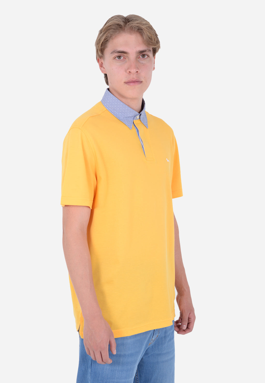 CAMISETA POLO HARMOT&BLAINE AMARILLO ALGOD (LRL003020004S04-302)