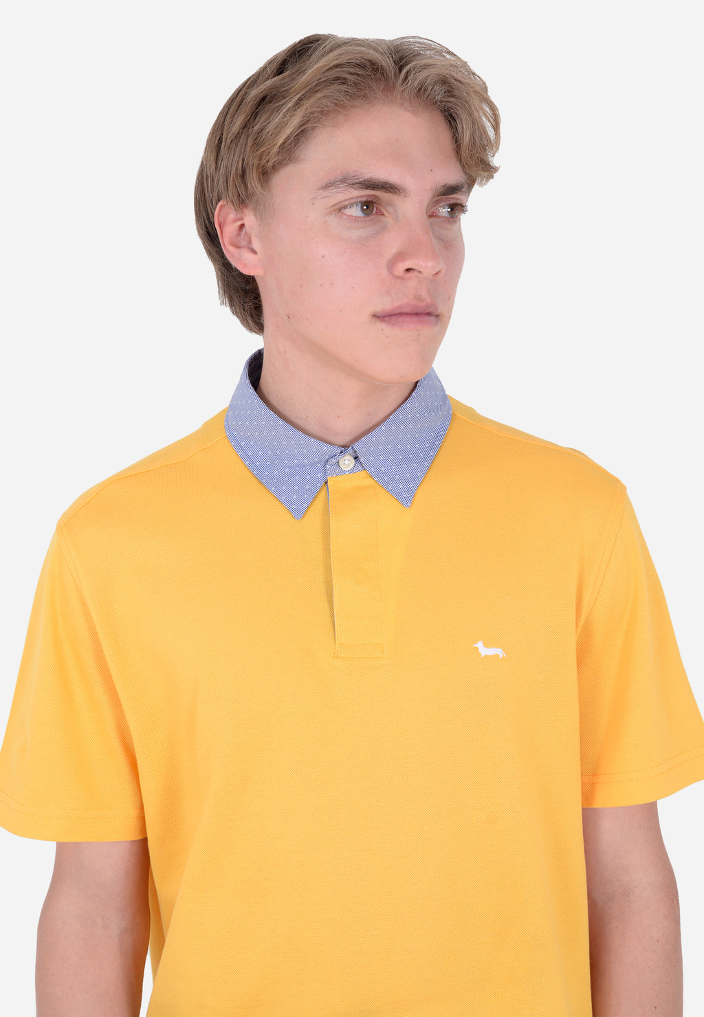 CAMISETA POLO HARMOT&BLAINE AMARILLO ALGOD (LRL003020004S04-302)