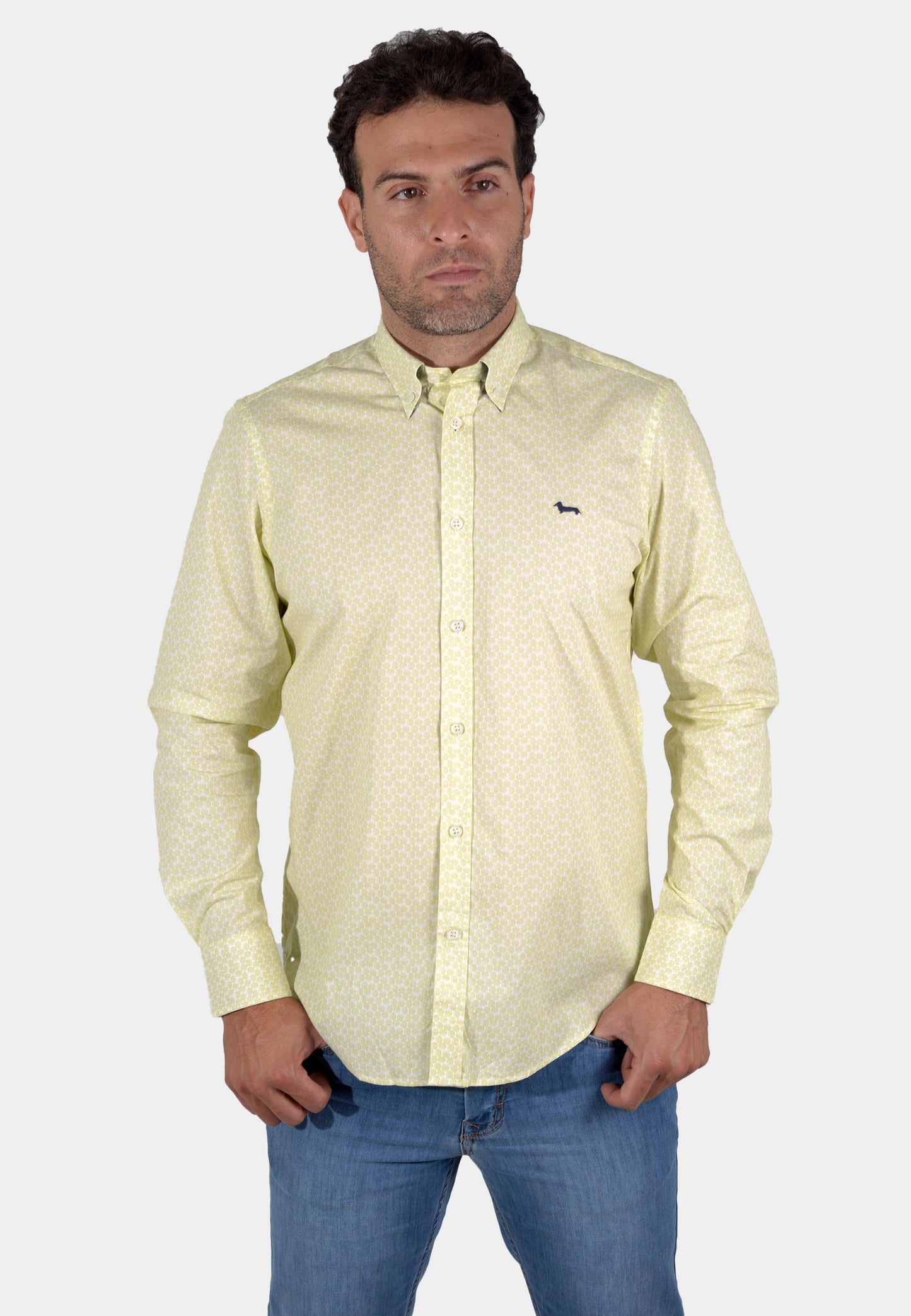 CAMISA HARMONT VERDE ALGOD (CRK011012571M-641)