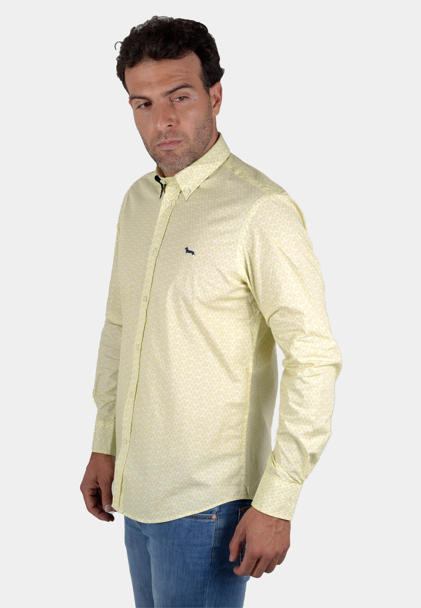 CAMISA HARMONT VERDE ALGOD (CRK011012571M-641)