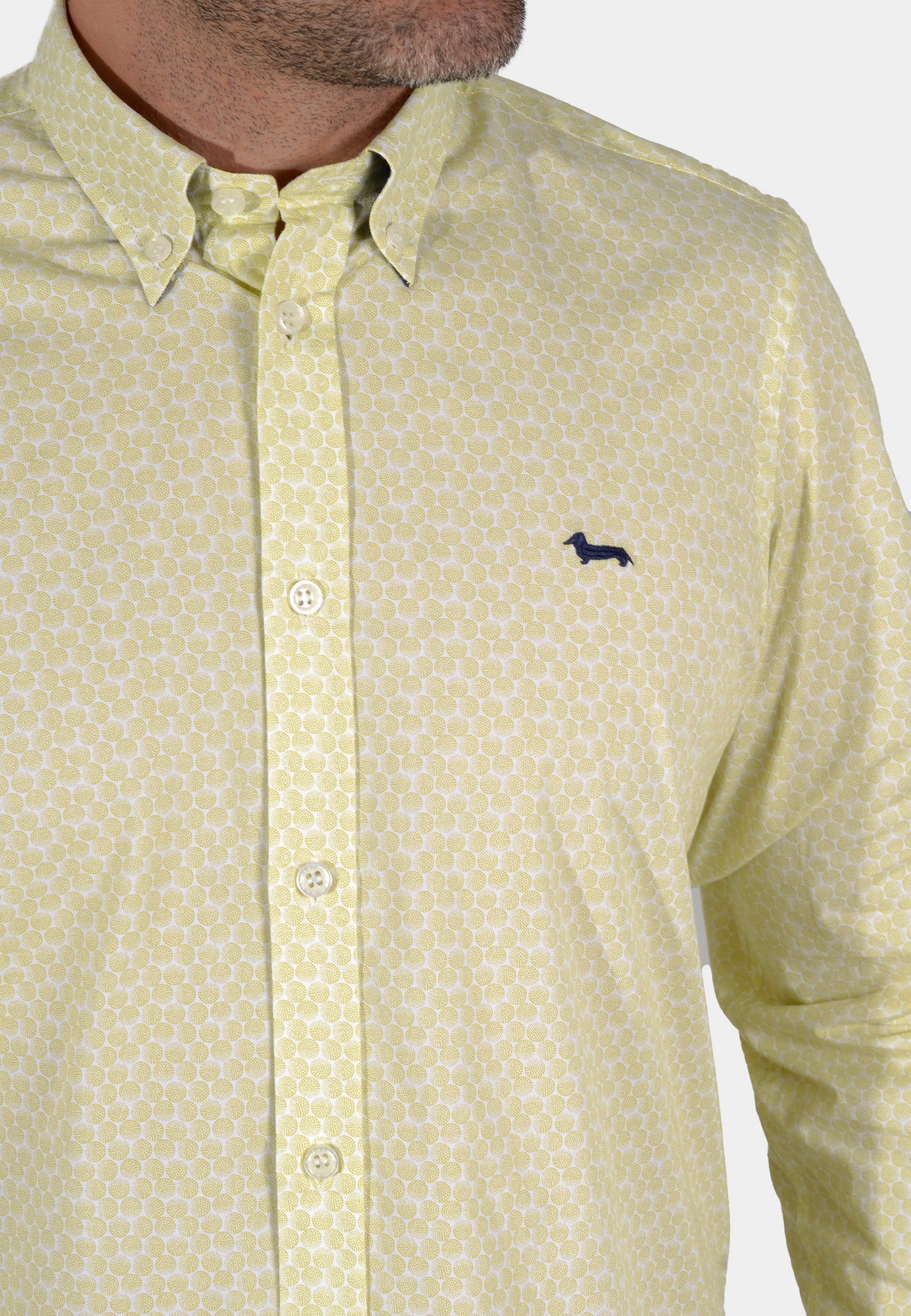 CAMISA HARMONT VERDE ALGOD (CRK011012571M-641)